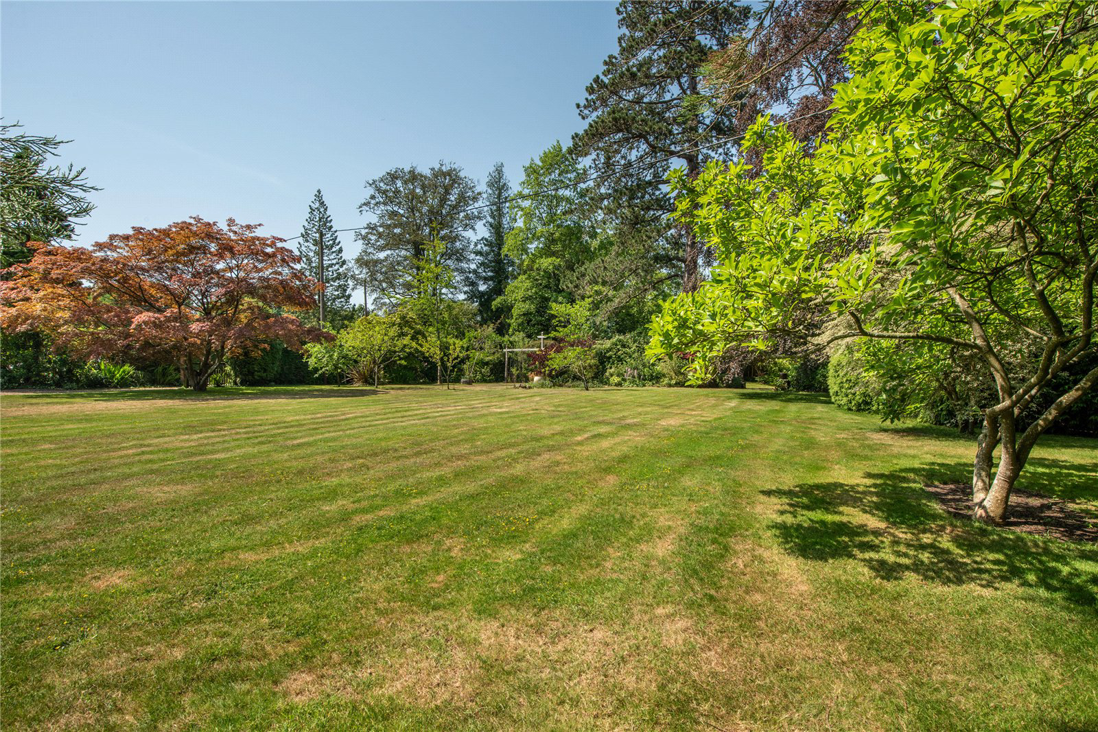 Ockley Road, Beare Green, Dorking, Surrey, RH5, photo 15
