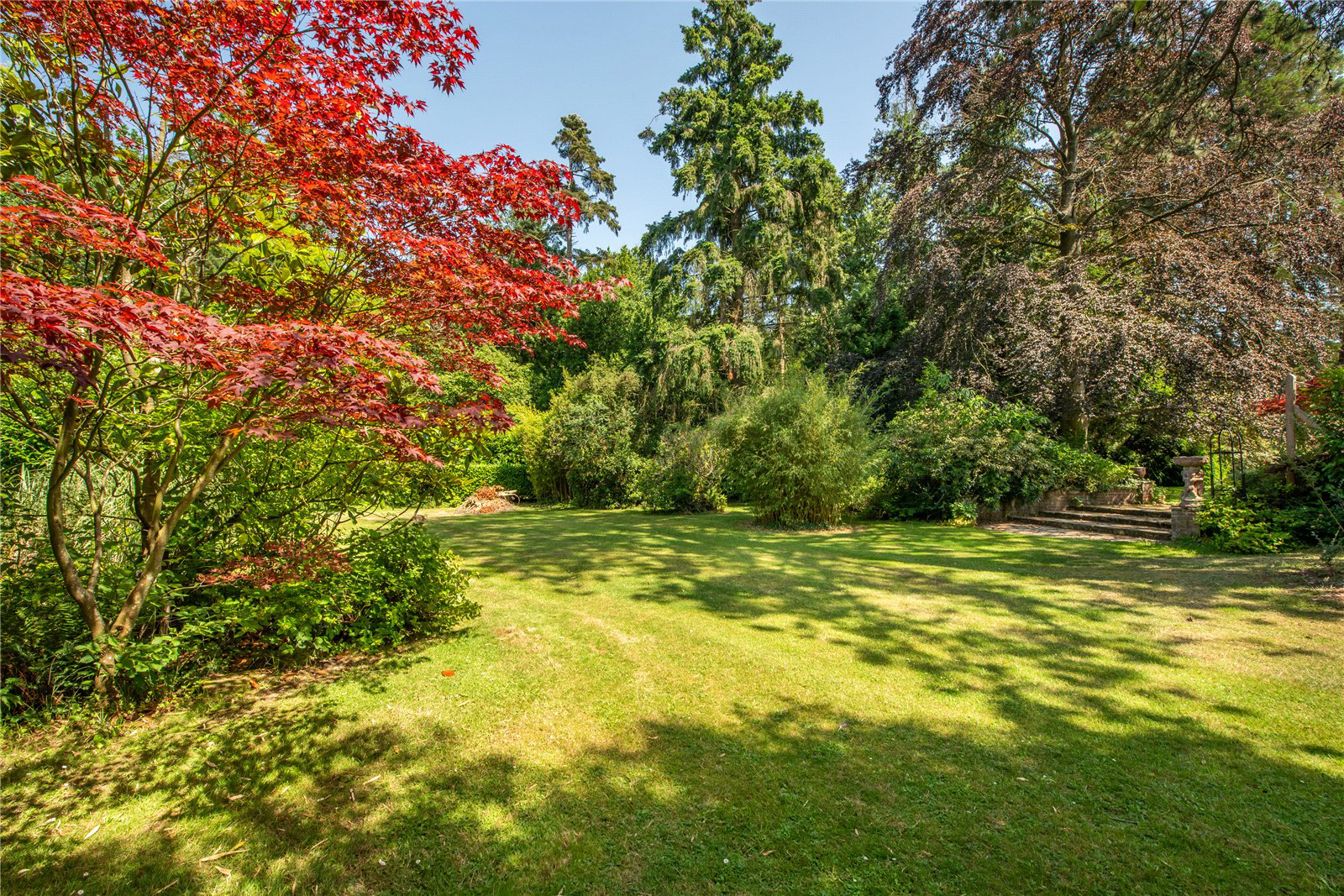 Ockley Road, Beare Green, Dorking, Surrey, RH5, photo 5