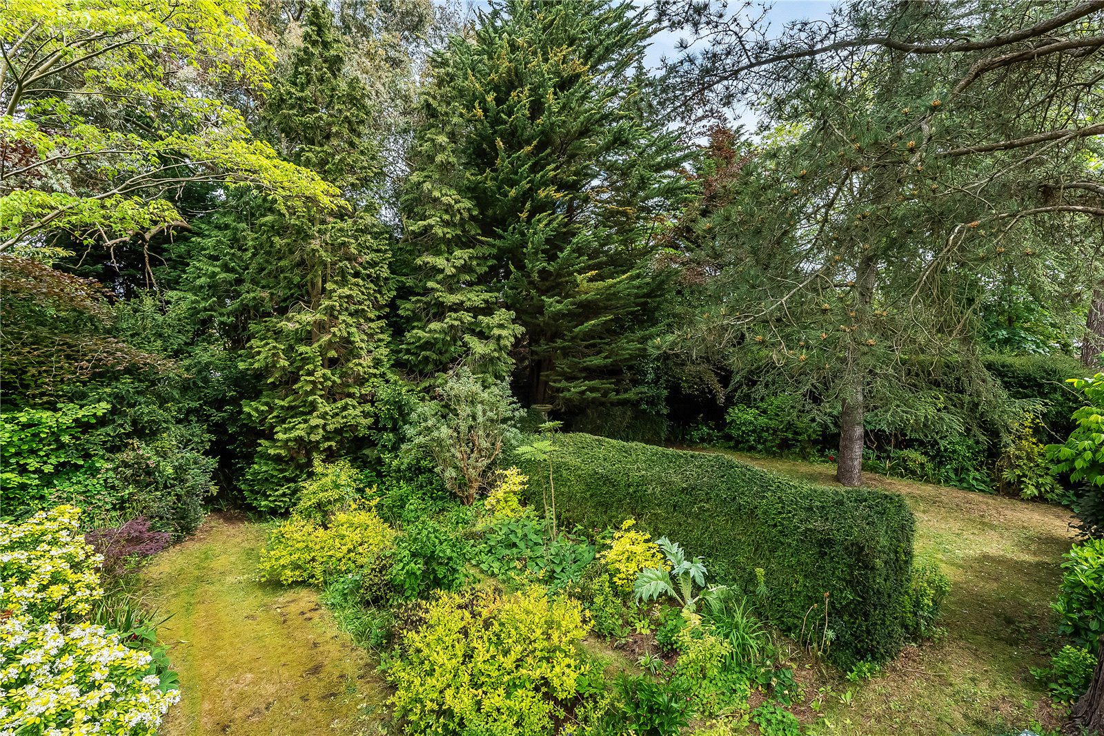 Doods Way, Reigate, Surrey, RH2, photo 27