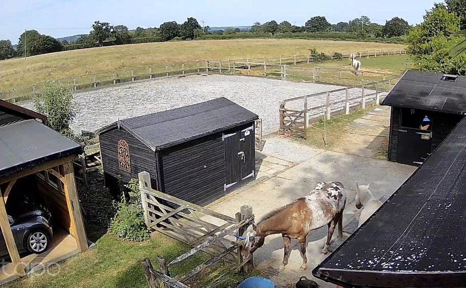 Battle Lane, Marden, Tonbridge, Kent, TN12, photo 19