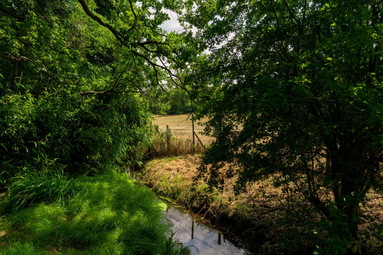 Rectory Road, Langham, Colchester, Essex, CO4, photo 38