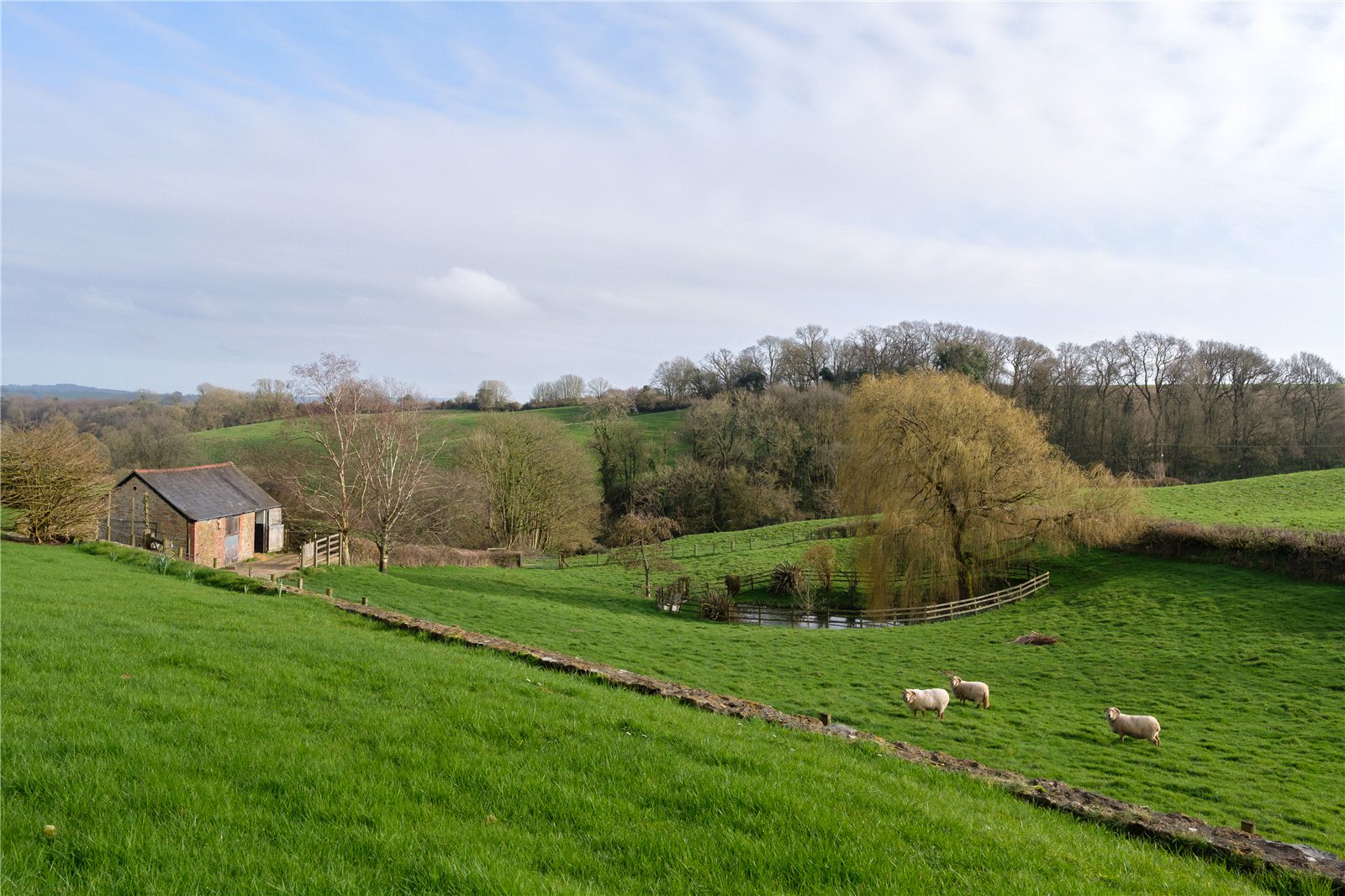 Stoke Abbott, Beaminster, Dorset, DT8, photo 19