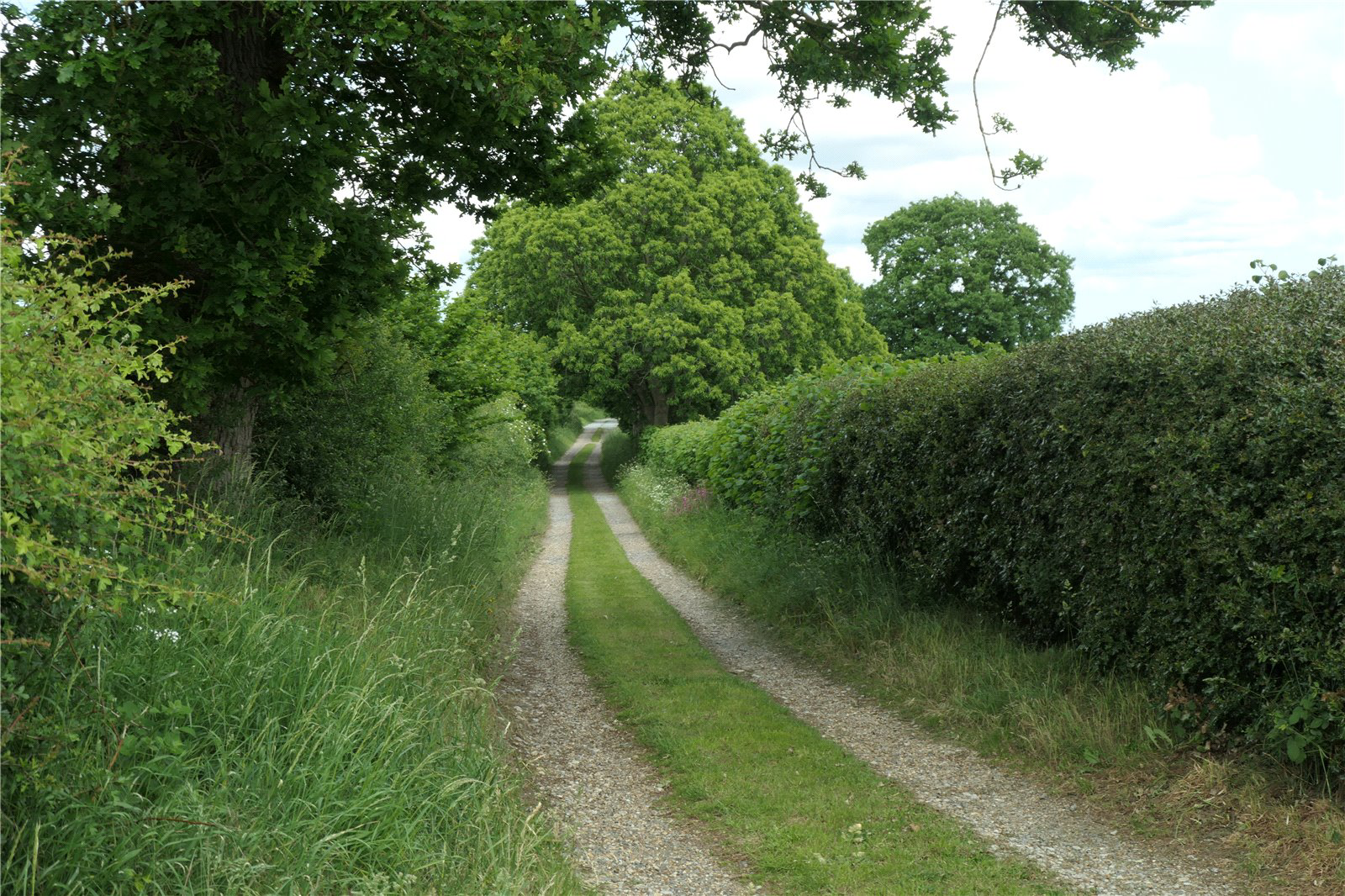 Photo 32