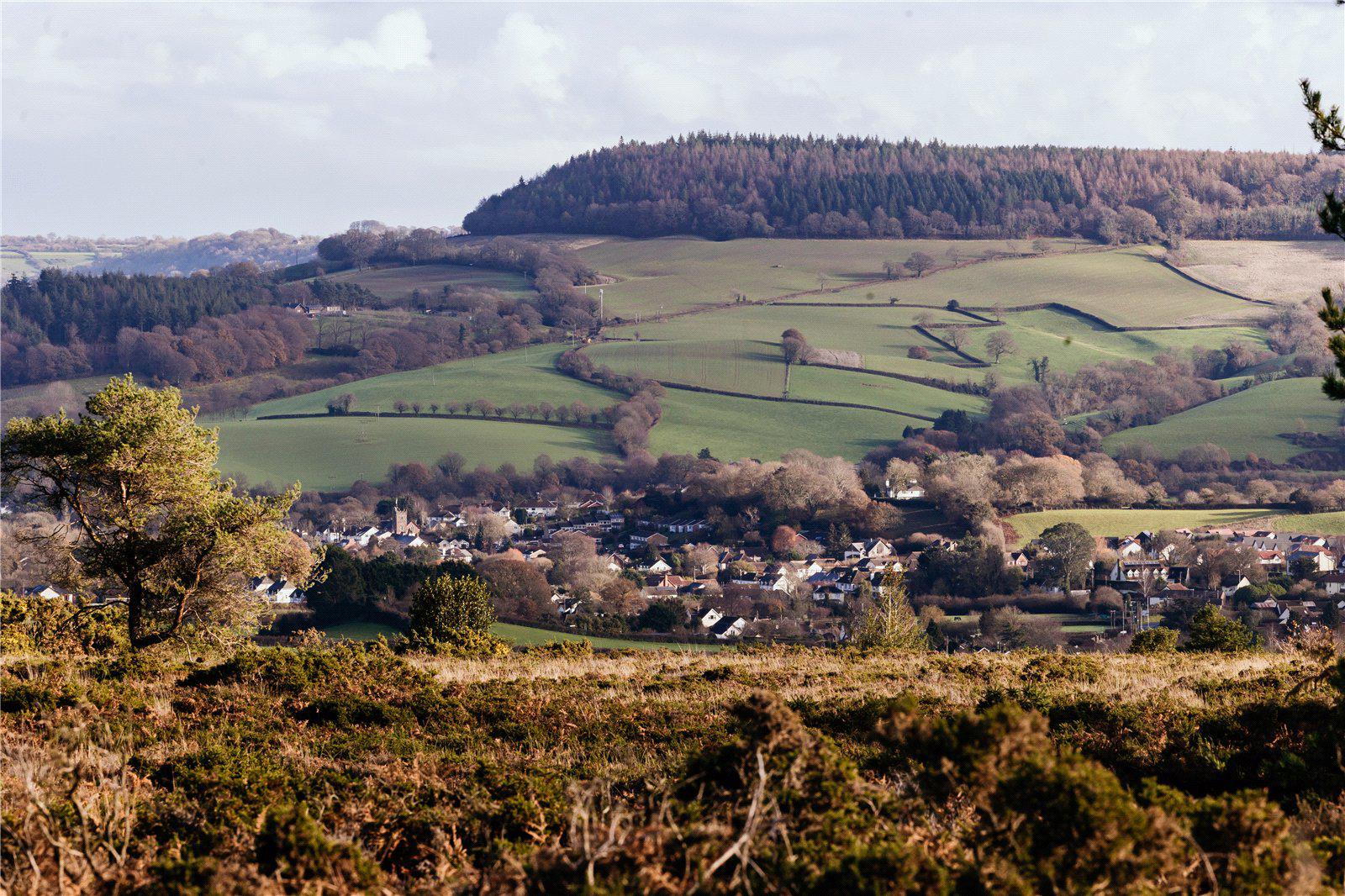 Waterleat Gardens, Newton Poppleford, Sidmouth, Devon, EX10, photo 8