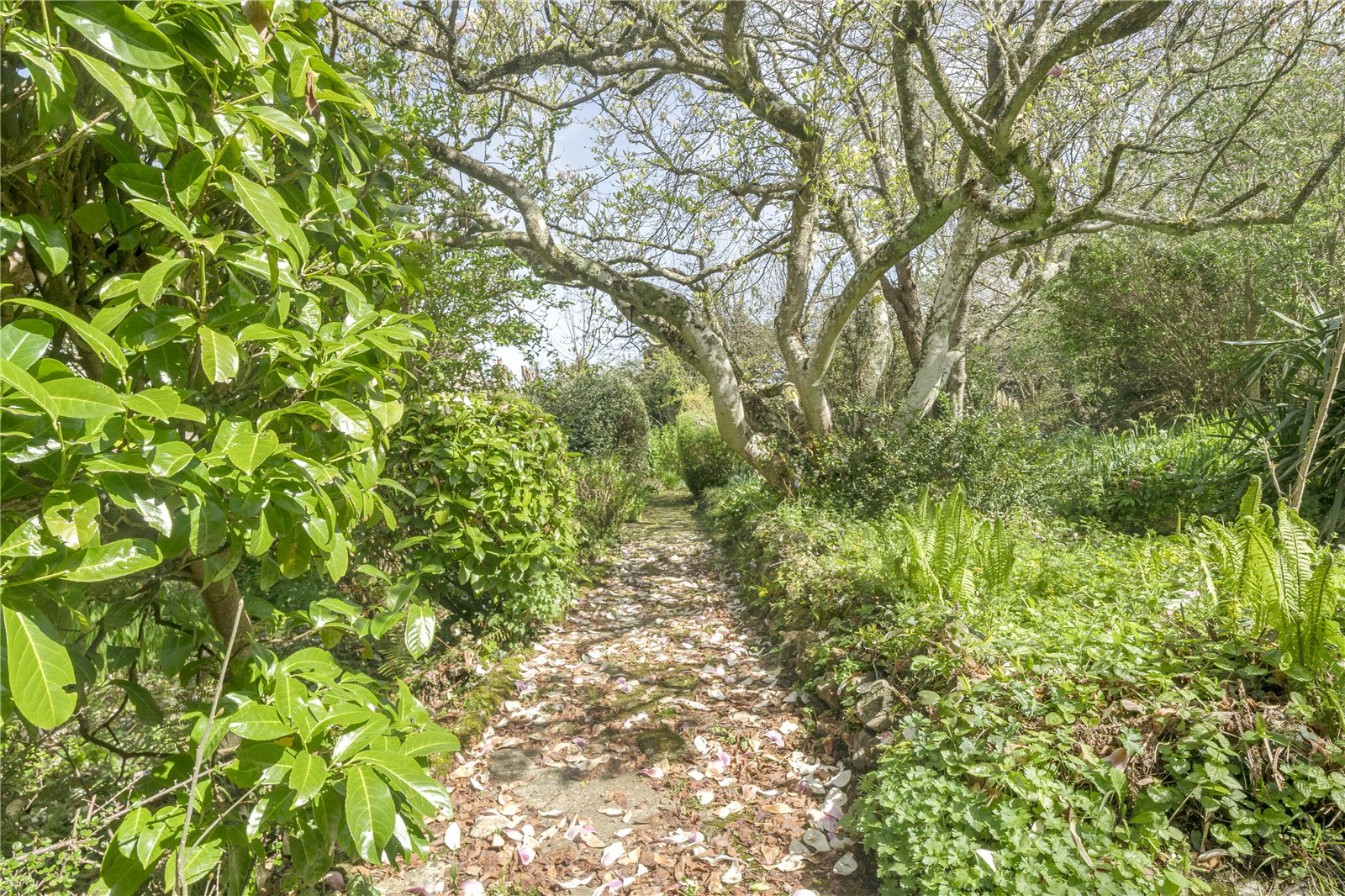 Seahill Lane, Chideock, Bridport, Dorset, DT6, photo 10