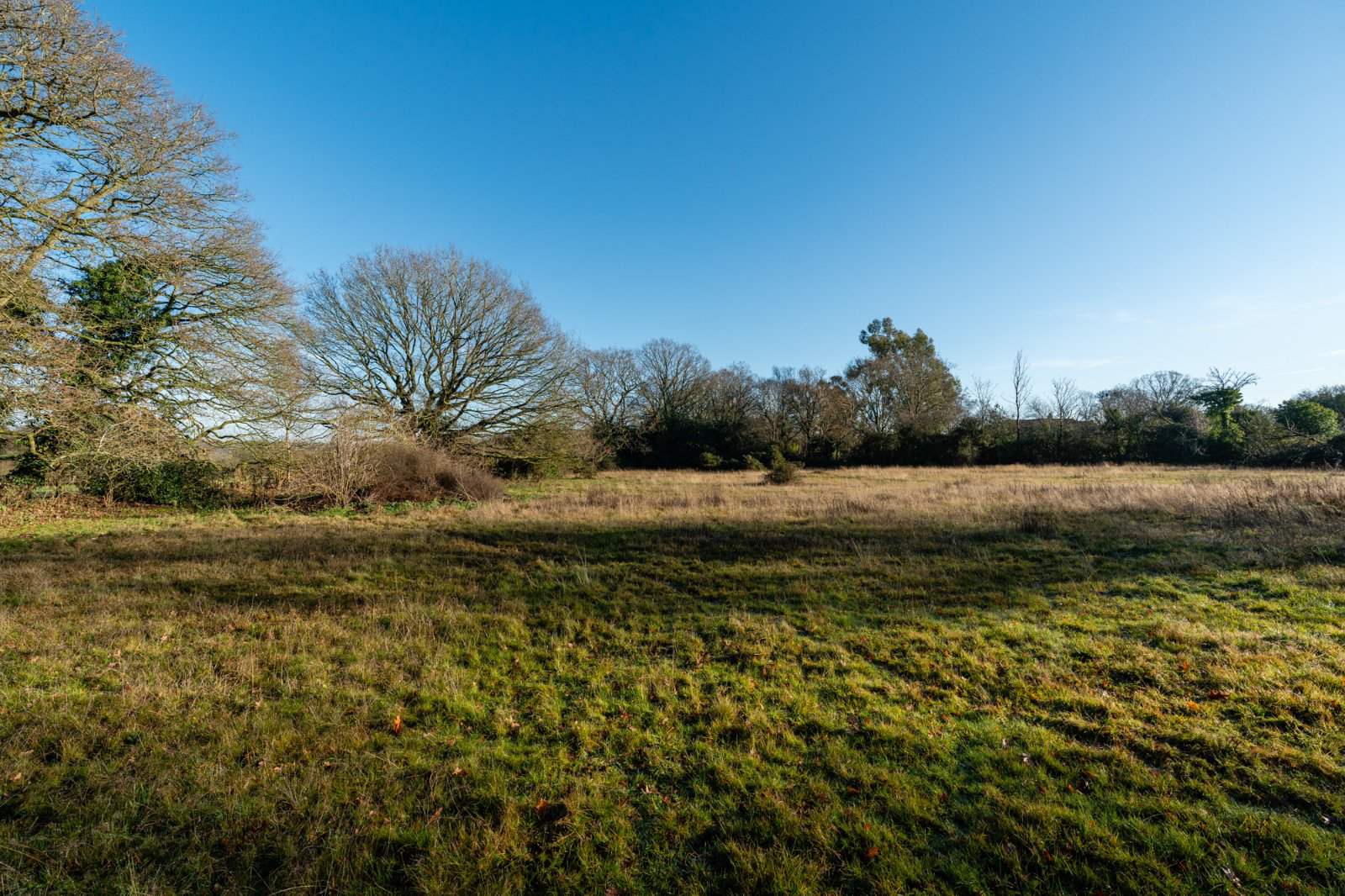 The Folley, Layer de La Haye, Colchester, Essex, CO2, photo 11