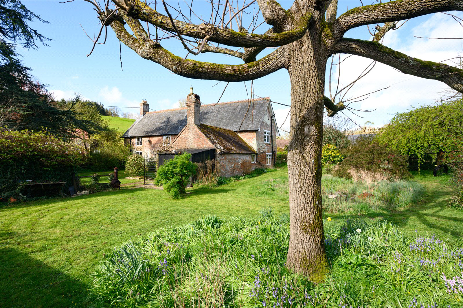West Morden, Wareham, Dorset, BH20, photo 25
