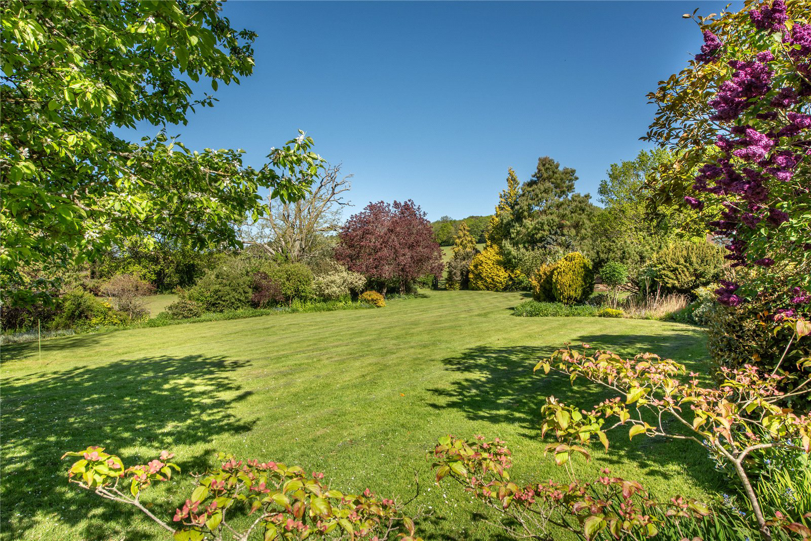 Home Farm, Coldharbour Lane, Dorking, Surrey, RH4, photo 25