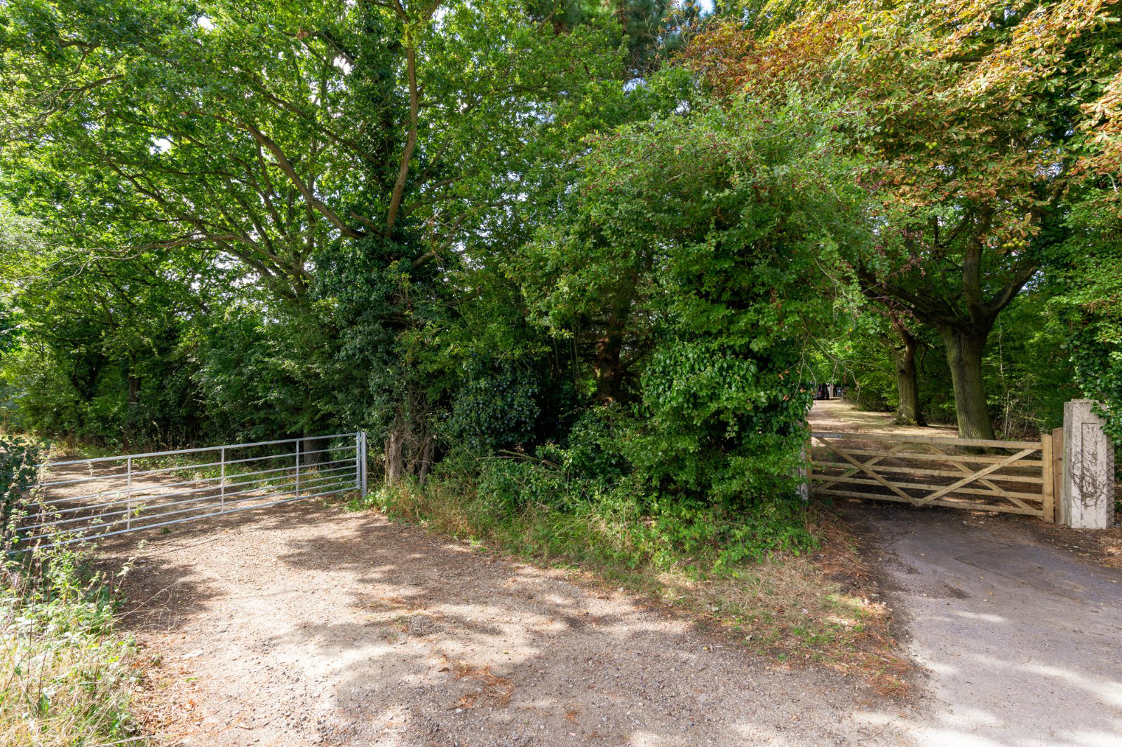 Little Ditches, London Road, Little Clacton, Essex, CO16, photo 41