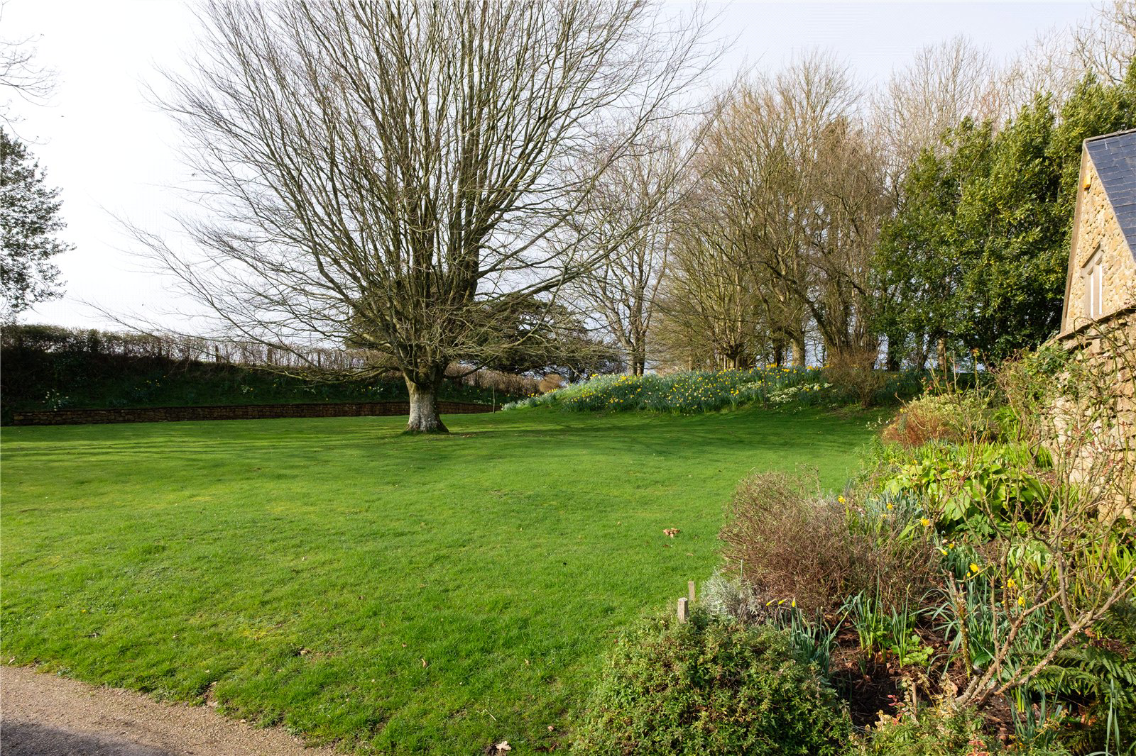 Stoke Abbott, Beaminster, Dorset, DT8, photo 17