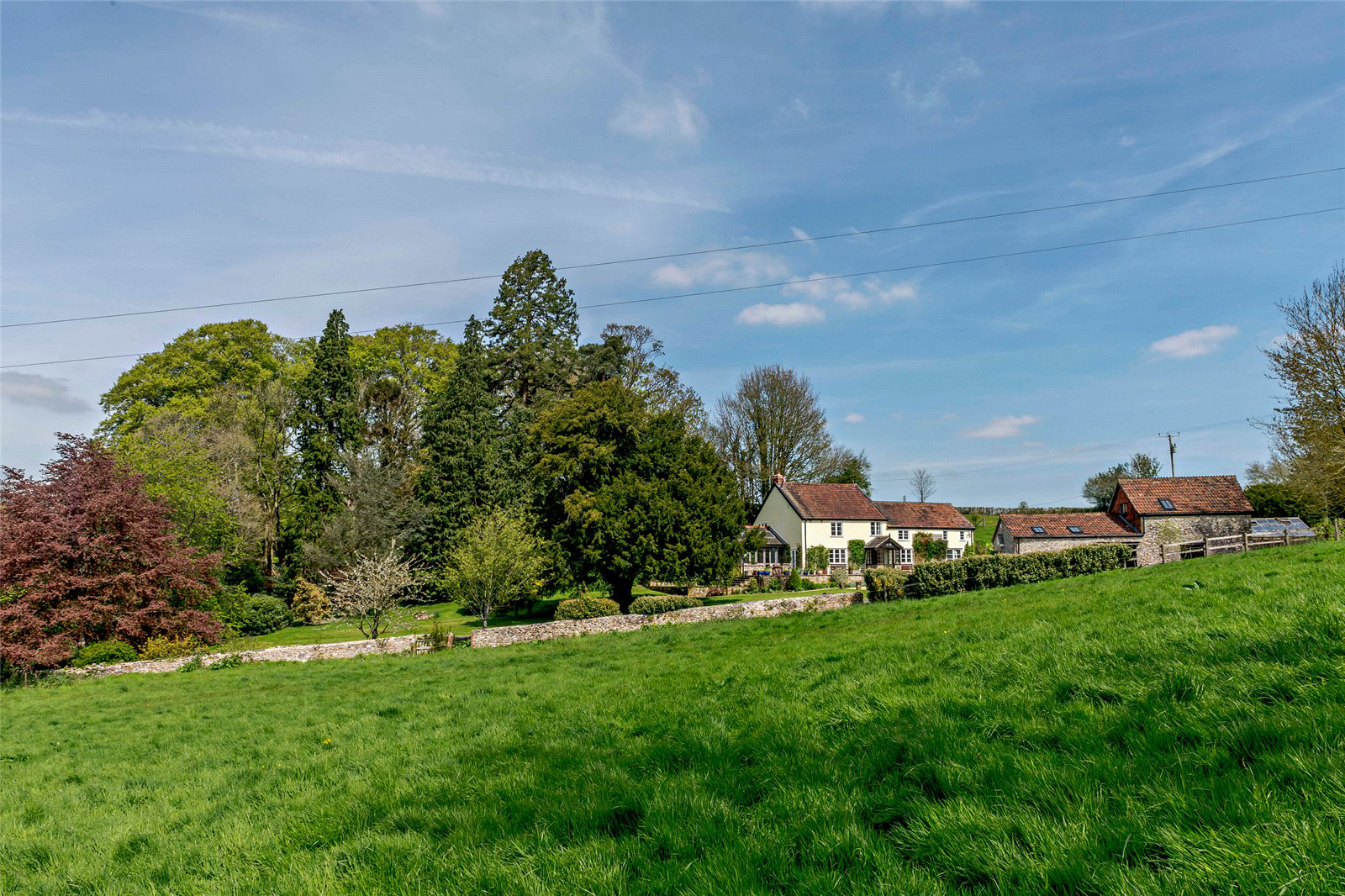 Combe St. Nicholas, Chard, Somerset, TA20, photo 20