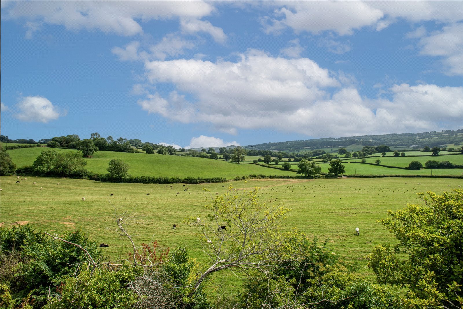 Yarcombe, Honiton, Devon, EX14, photo 19