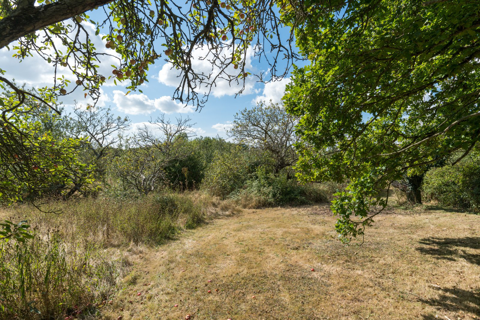 Little Ditches, London Road, Little Clacton, Essex, CO16, photo 34
