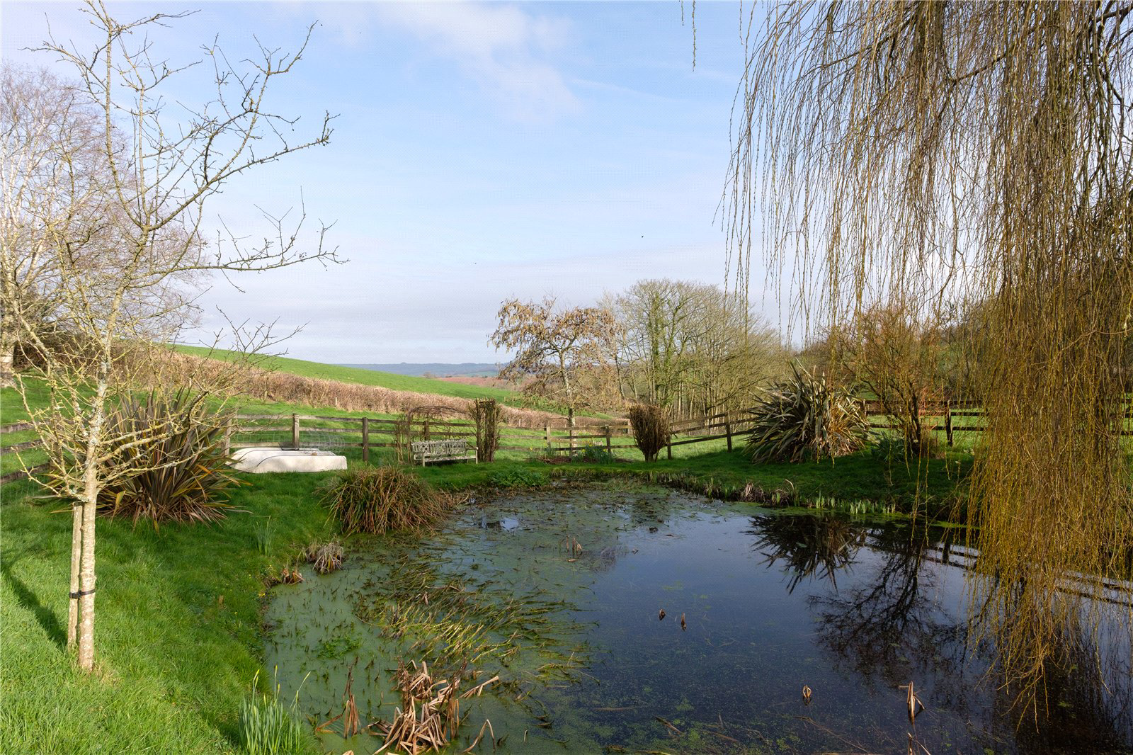 Stoke Abbott, Beaminster, Dorset, DT8, photo 20