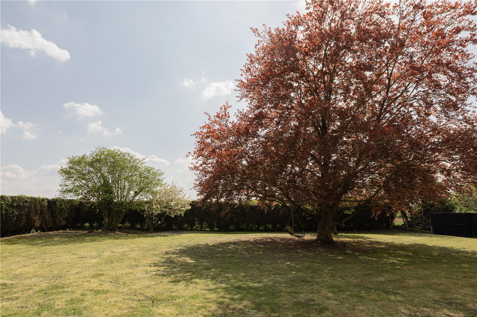 Barham's Lane, Carleton Rode, Norfolk, NR16, photo 43