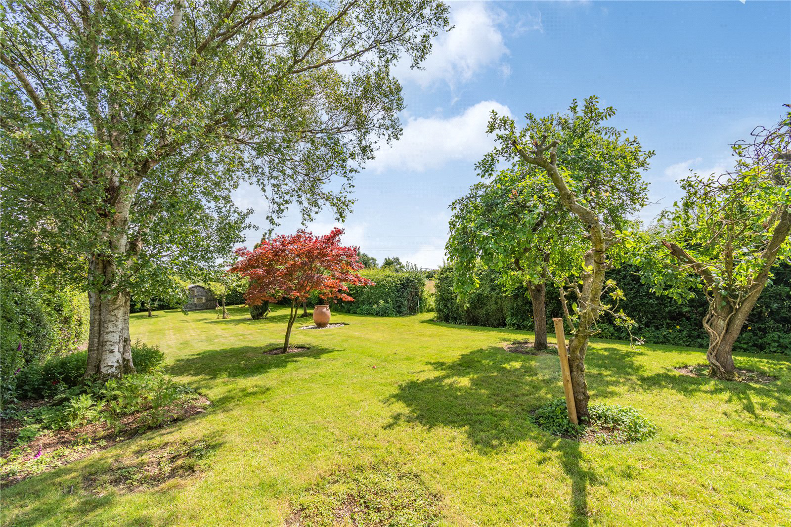 Old Hall Street, Malpas, Cheshire, SY14, photo 25