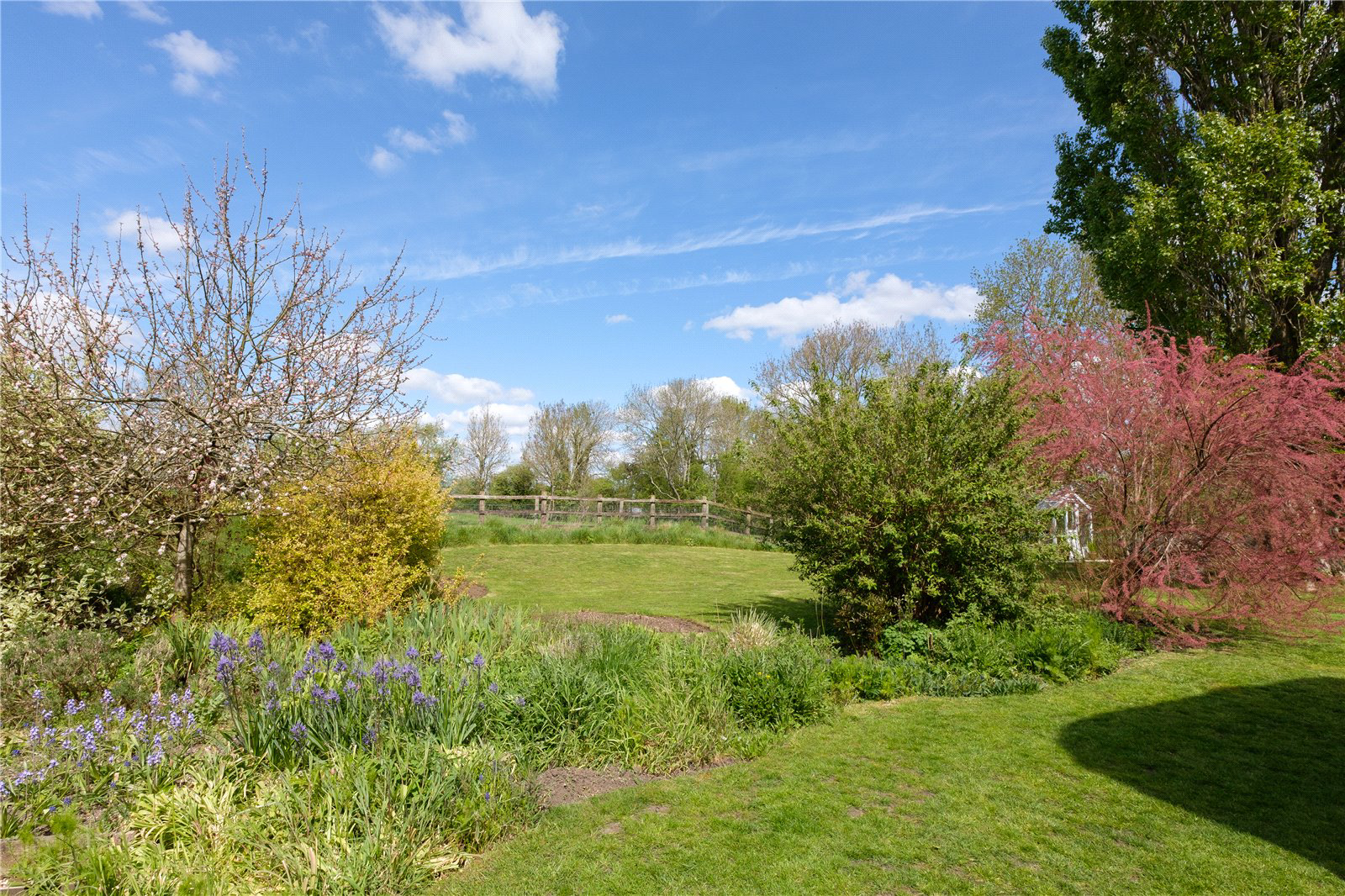 Duck Lane, Limington, Somerset, BA22, photo 15