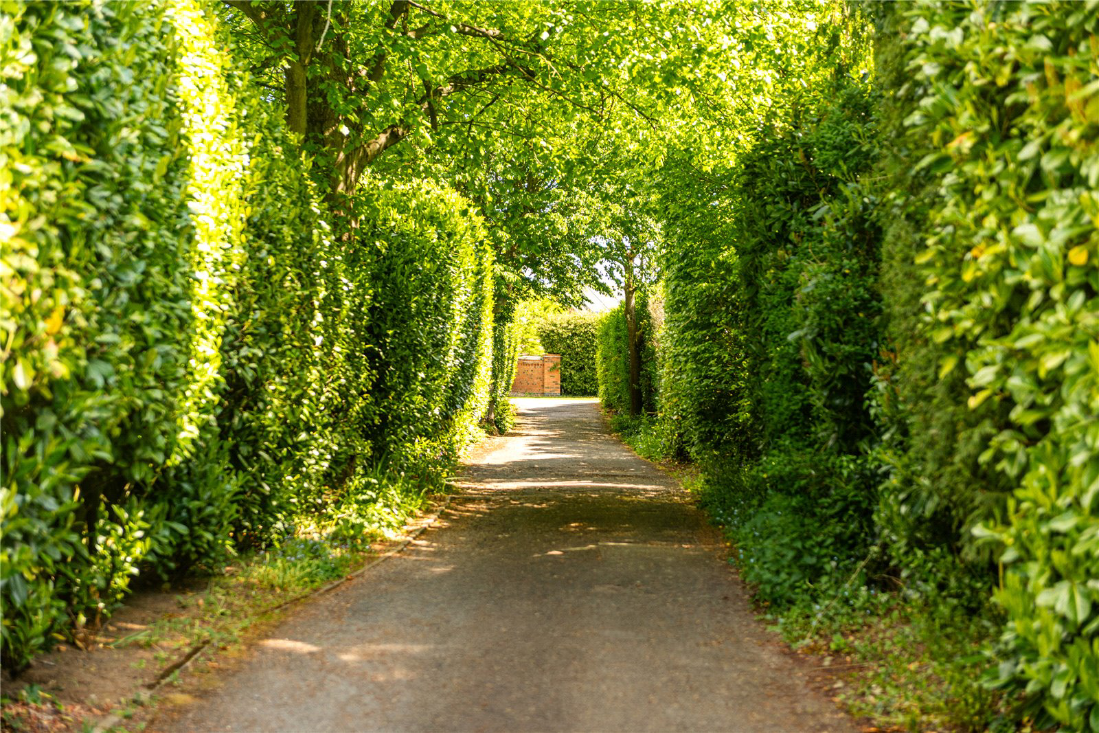 Sandy Lane, Church Brampton, Northampton, Northamptonshire, NN6, photo 35