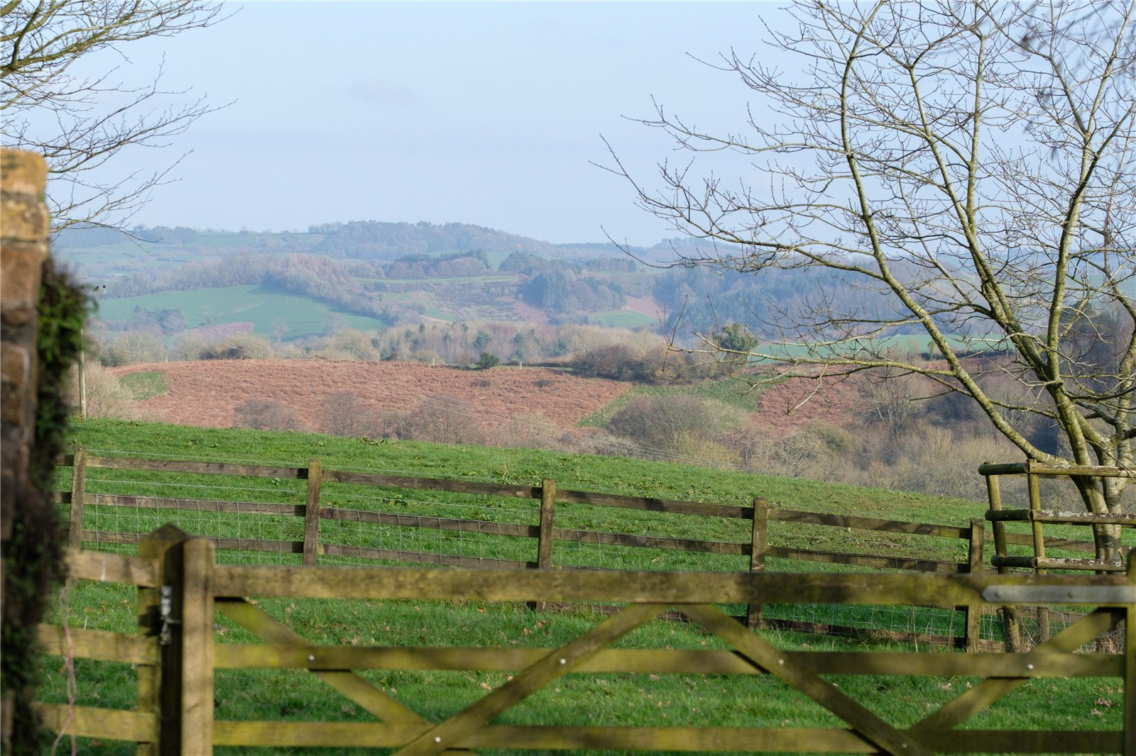 Stoke Abbott, Beaminster, Dorset, DT8, photo 32