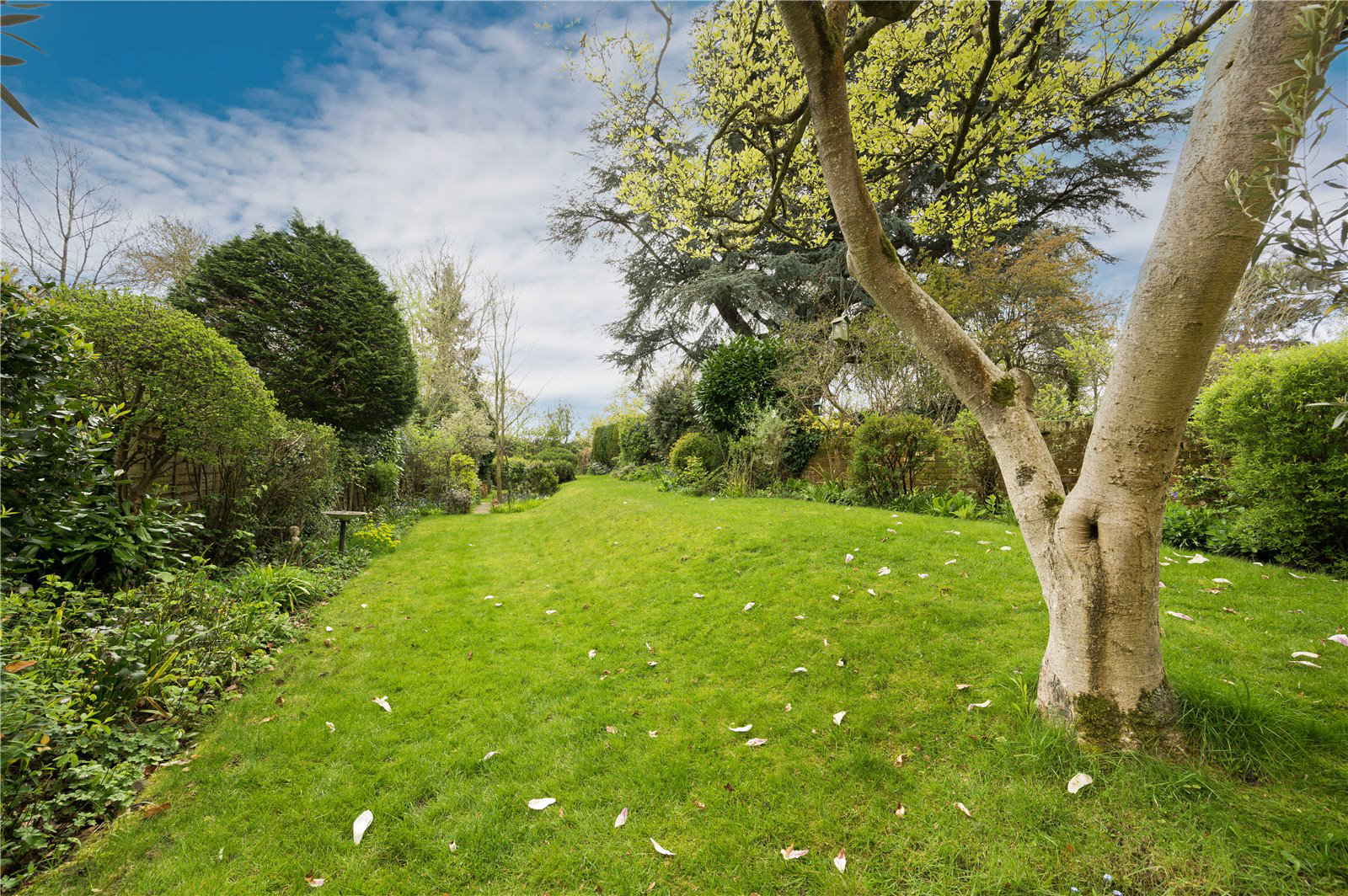 Perry Hill, Worplesdon, Guildford, Surrey, GU3, photo 26