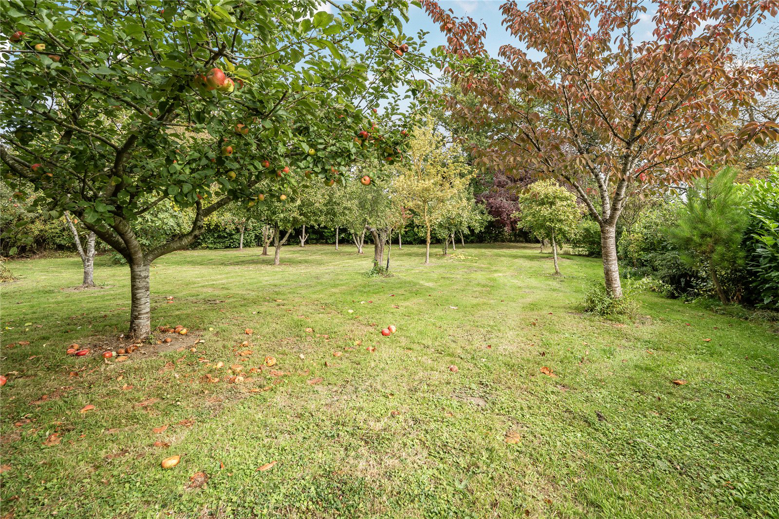 Hall Lane, Rushall, Diss, Norfolk, IP21, photo 20