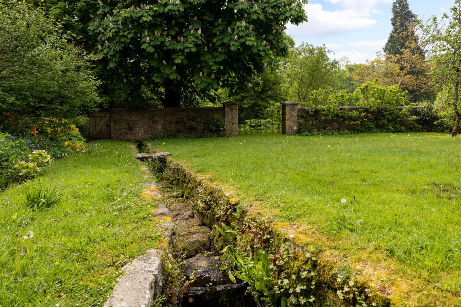 Bridford, Exeter, Devon, EX6, photo 16