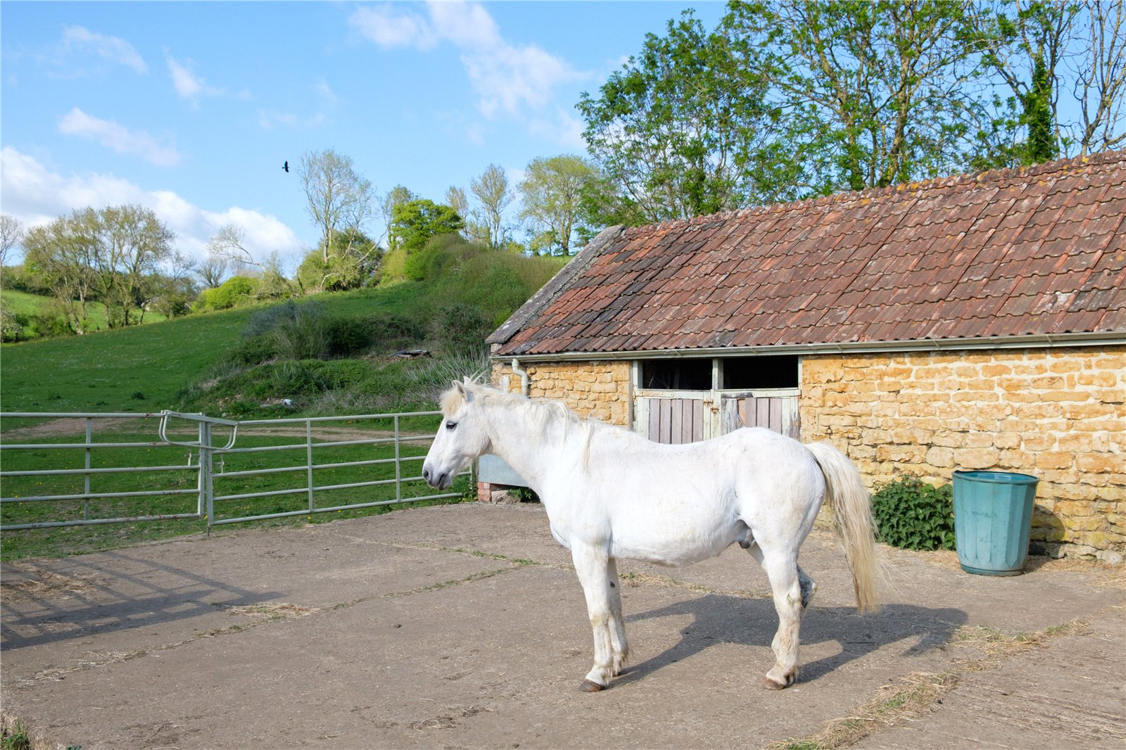 Powerstock, Bridport, Dorset, DT6, photo 53