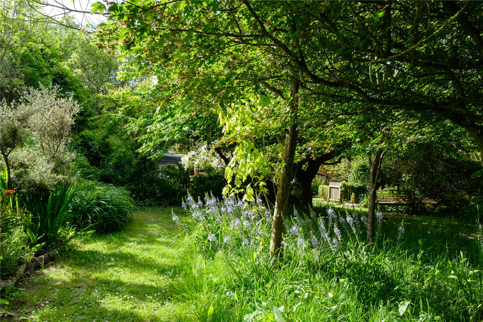 Eype, Bridport, Dorset, DT6, photo 62