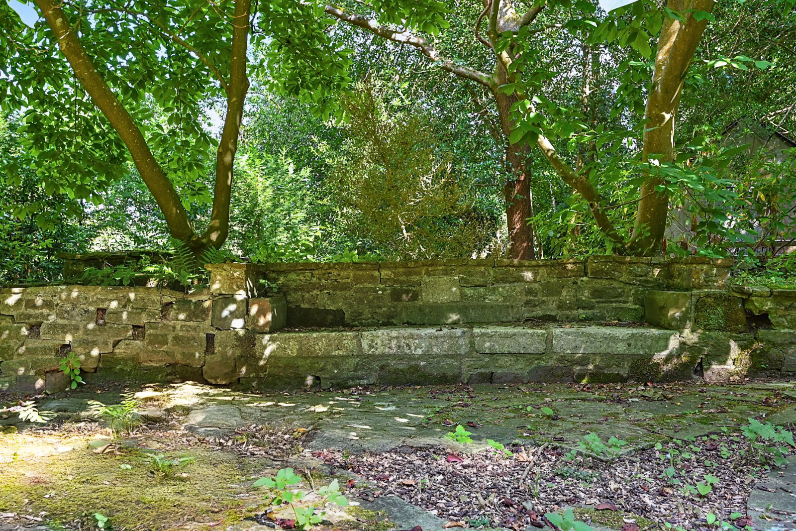 Coopers Green Road, Uckfield, East Sussex, TN22, photo 23