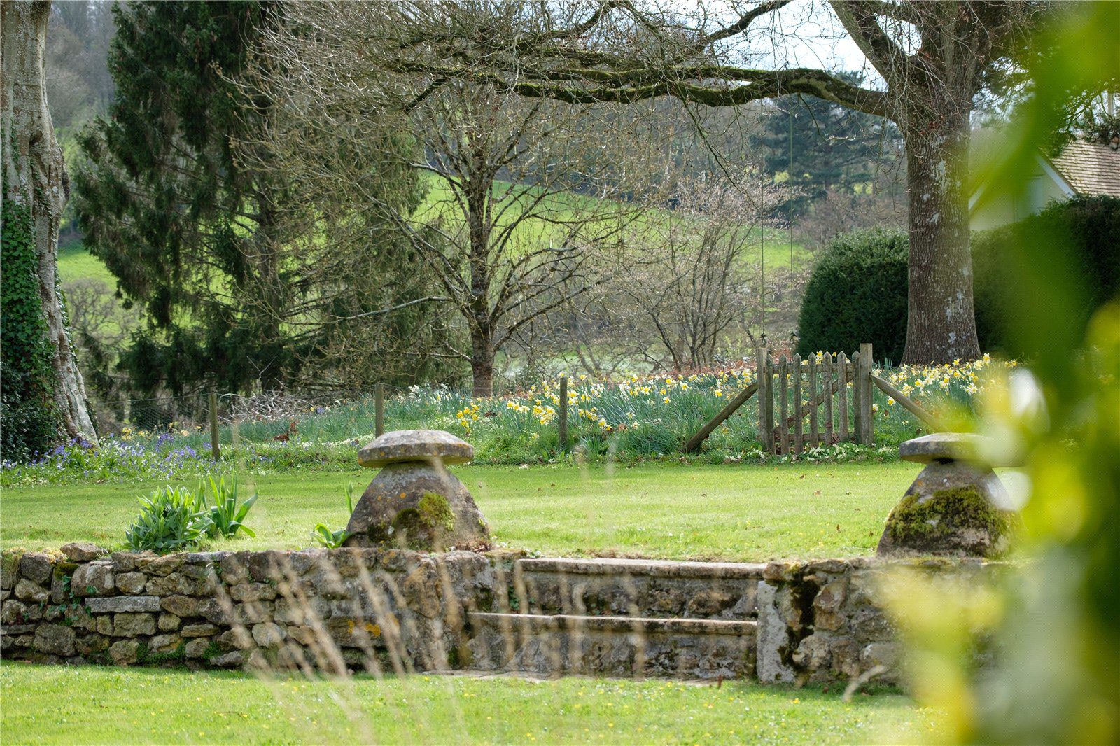 Whitcombe Road, Beaminster, Dorset, DT8, photo 64