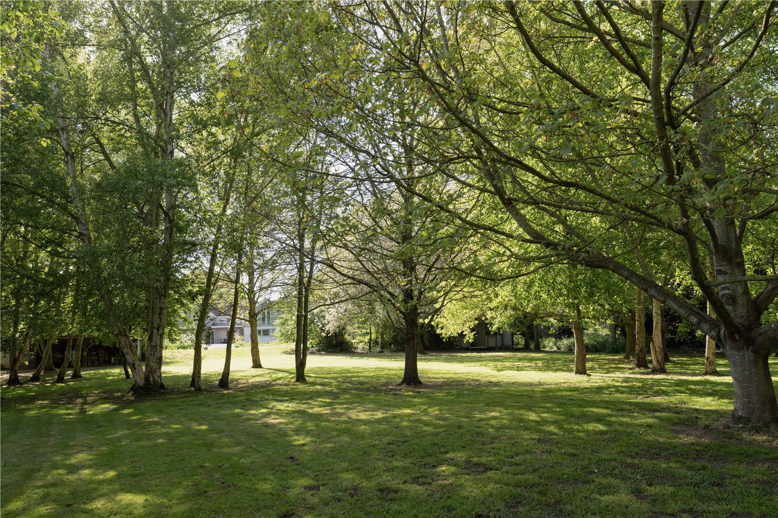 Lower Road, Rockland St. Mary, Norwich, Norfolk, NR14, photo 29