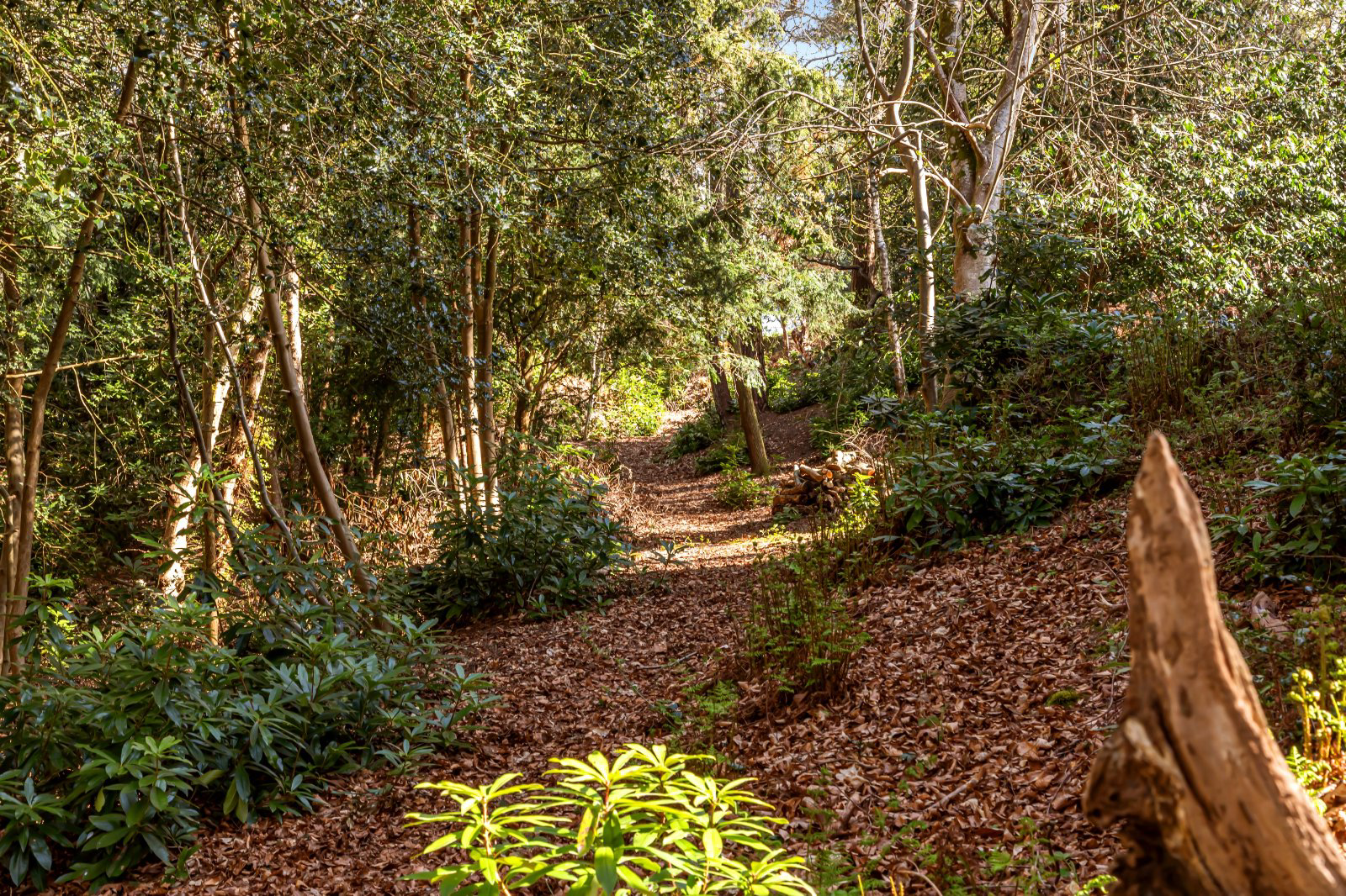 Coopers Green Road, Uckfield, East Sussex, TN22, photo 24