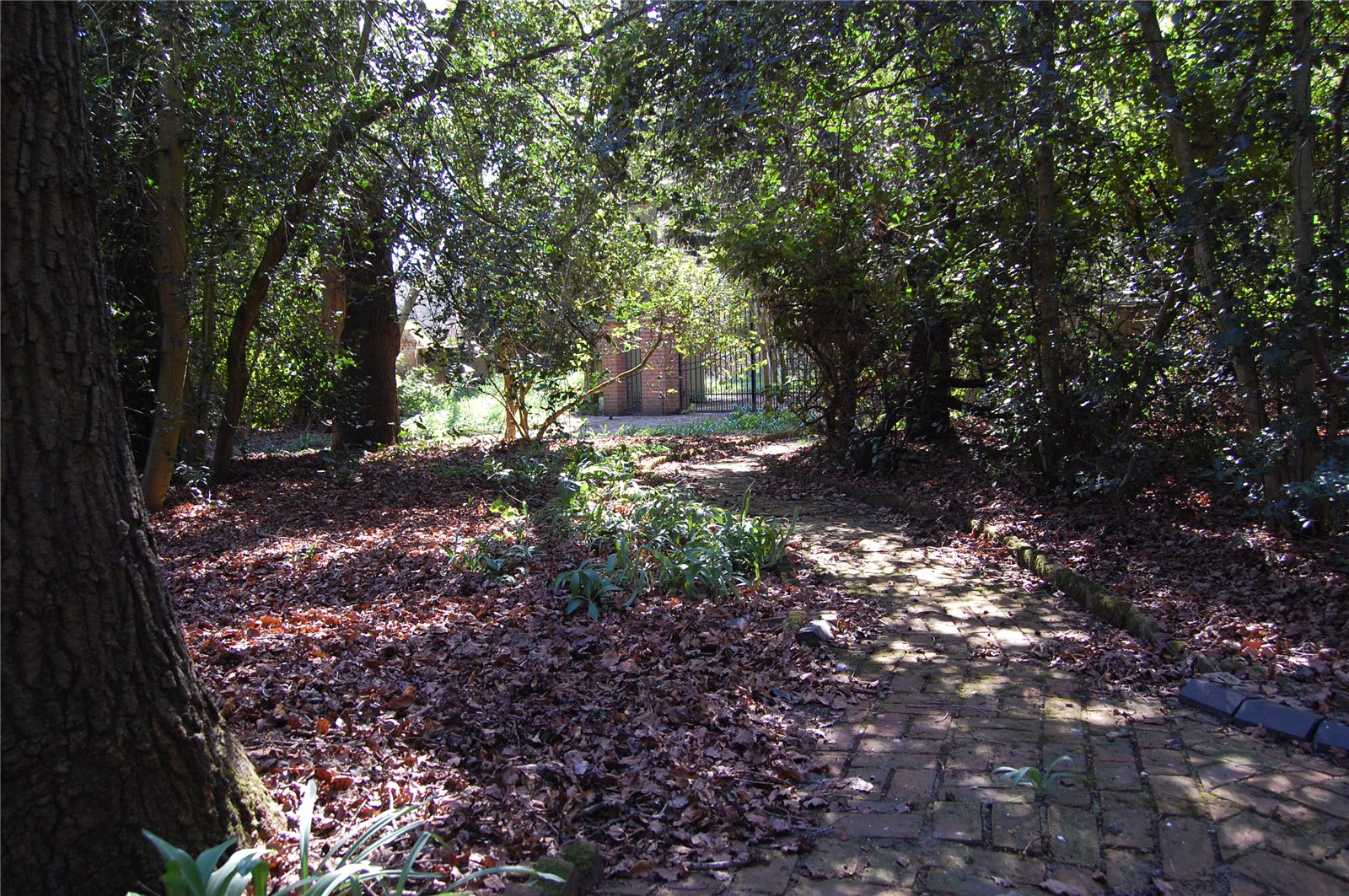 Photo 10