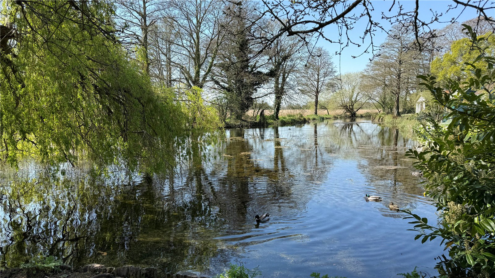 Nearby Village Pond