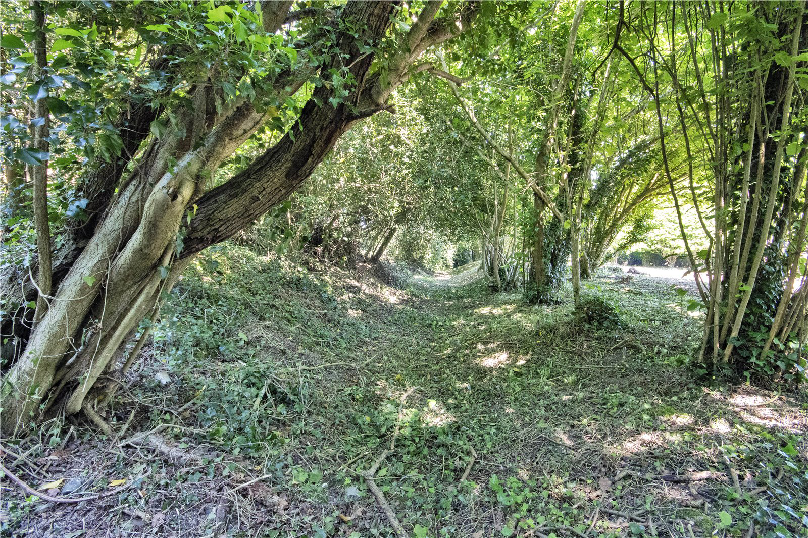Buckland Lane, Near Staple, Canterbury, Kent, CT3, photo 19
