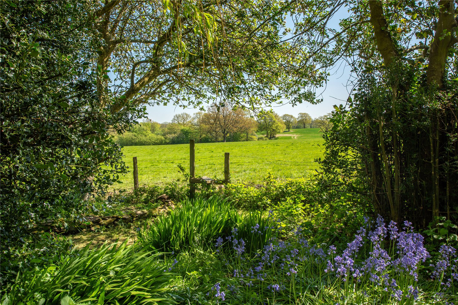 Horsham Road, Rusper, Horsham, West Sussex, RH12, photo 13