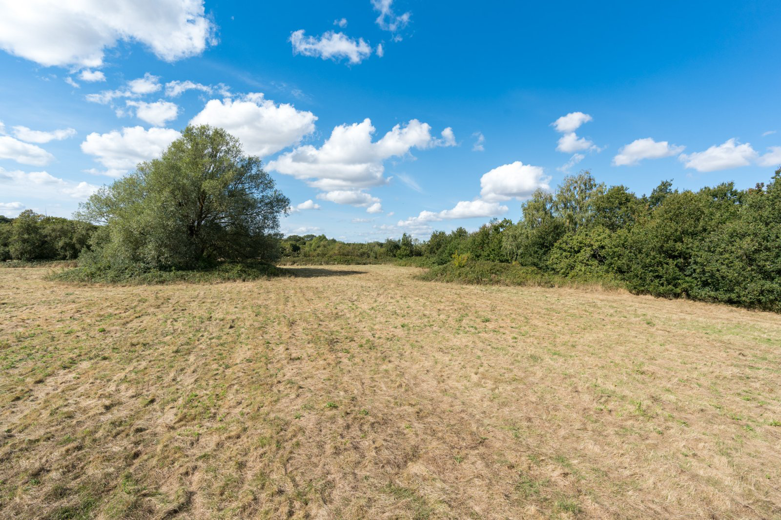 Little Ditches, London Road, Little Clacton, Essex, CO16, photo 27