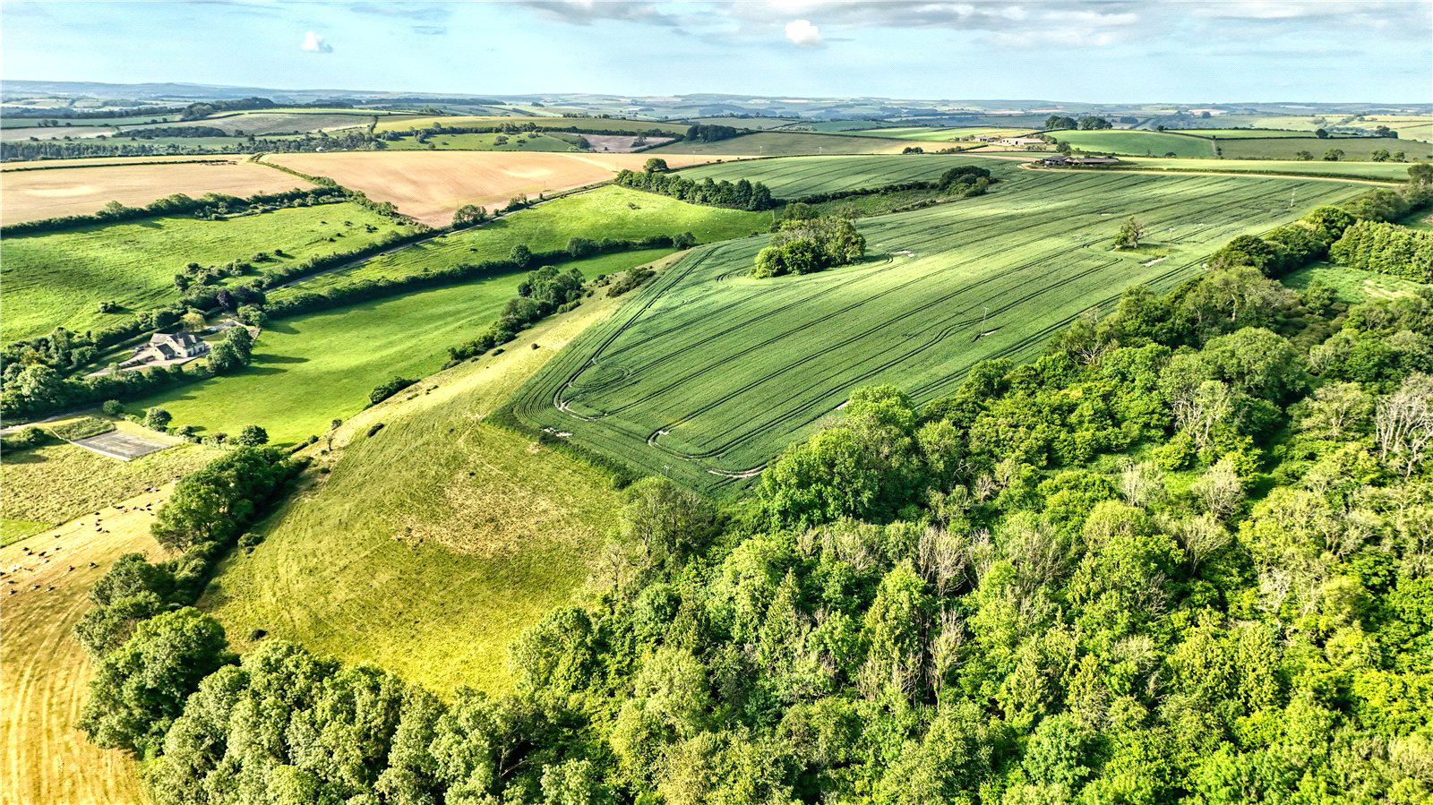 Sydling Road, Cerne Abbas, Dorchester, DT2, photo 33