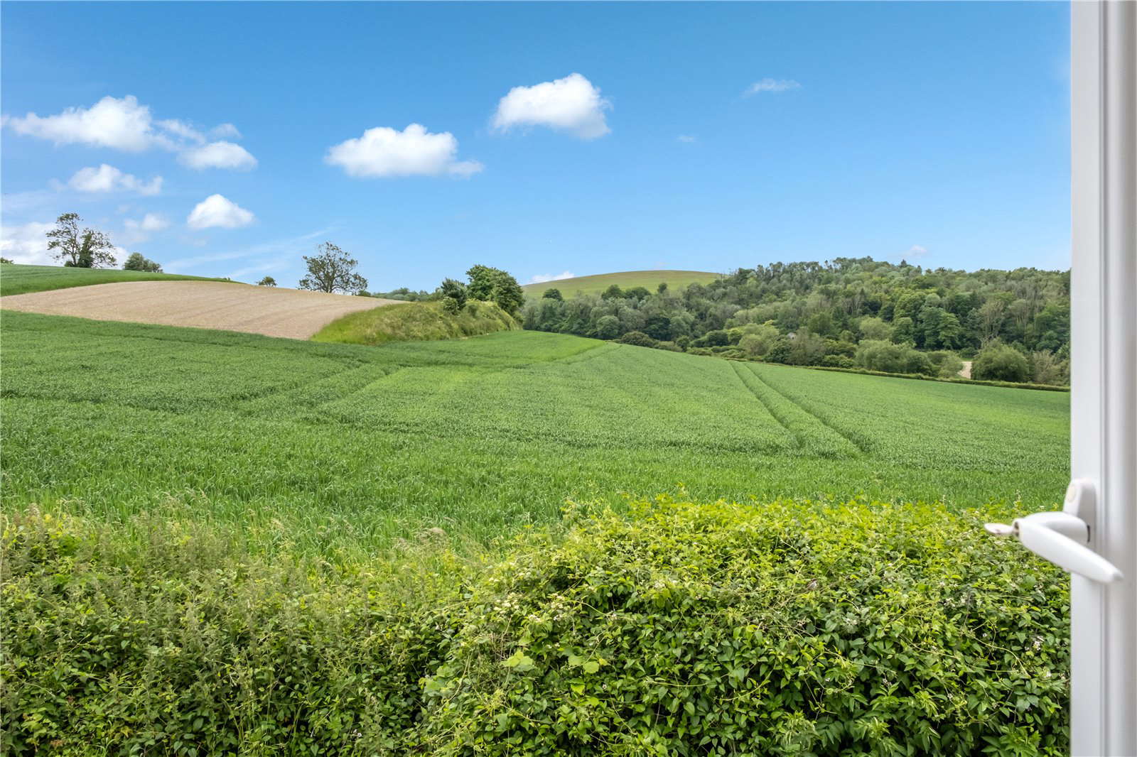 Coombe Road, East Meon, Hampshire, GU32, photo 16