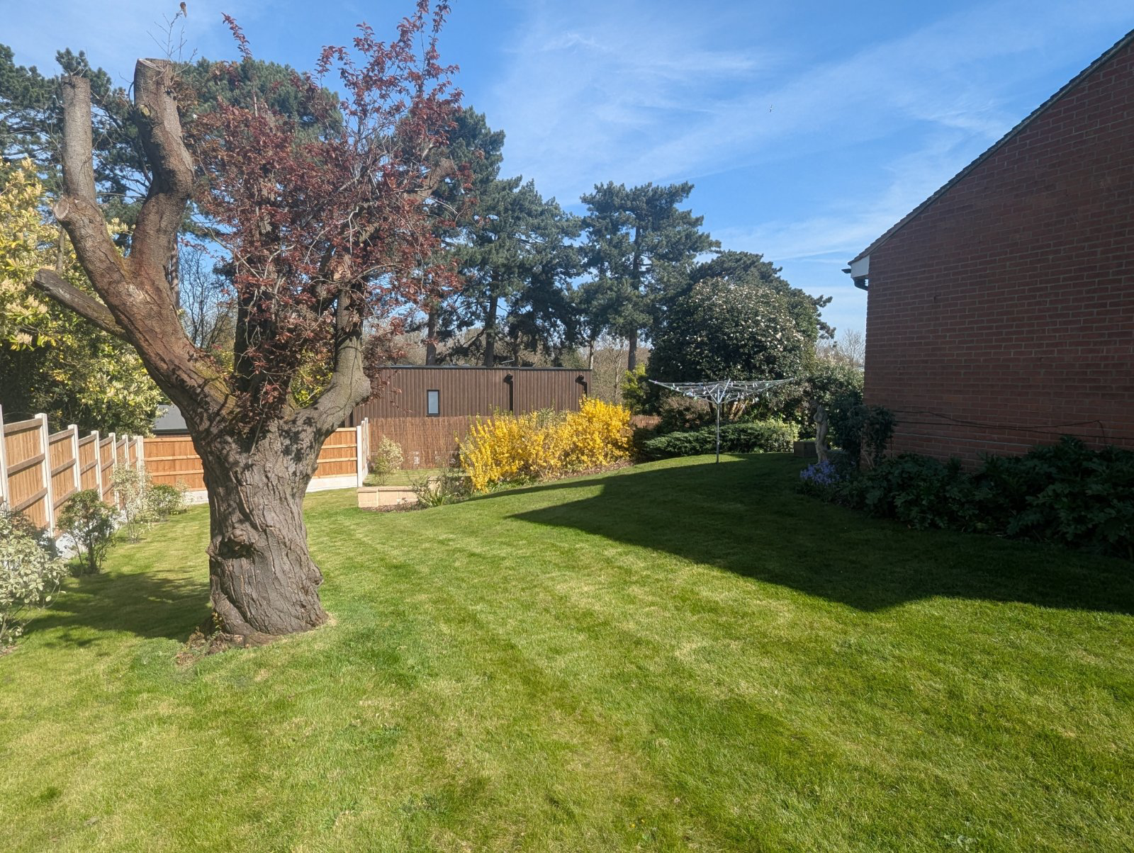 Highfield Drive, Lexden, Colchester, Essex, CO3, photo 41