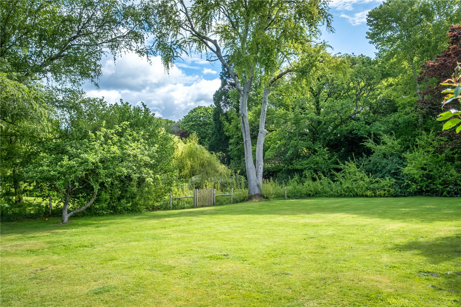 Wardley Green, Milland, West Sussex, GU30, photo 4