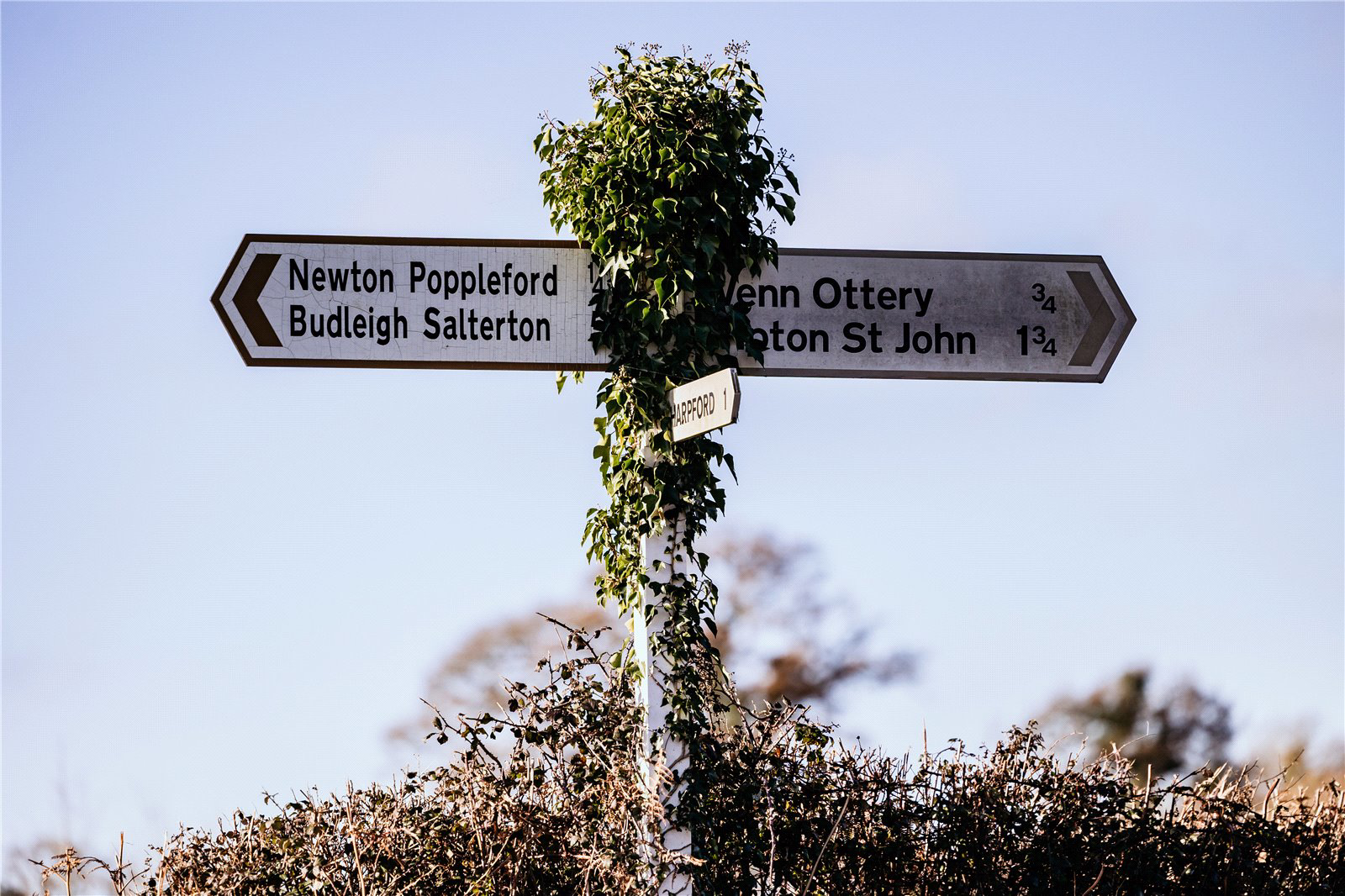 Waterleat Gardens, Newton Poppleford, Sidmouth, Devon, EX10, photo 10