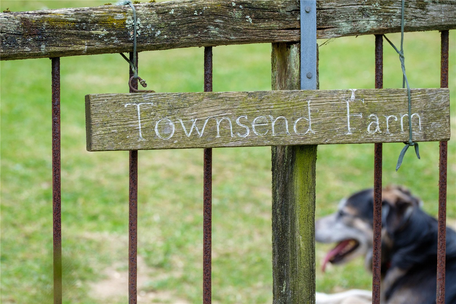 Powerstock, Bridport, Dorset, DT6, photo 45
