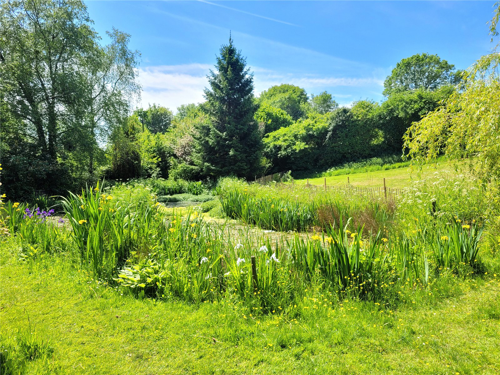 Beaminster, Dorset, DT8, photo 4