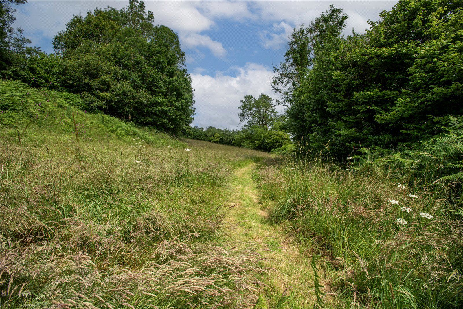 Yarcombe, Honiton, Devon, EX14, photo 24