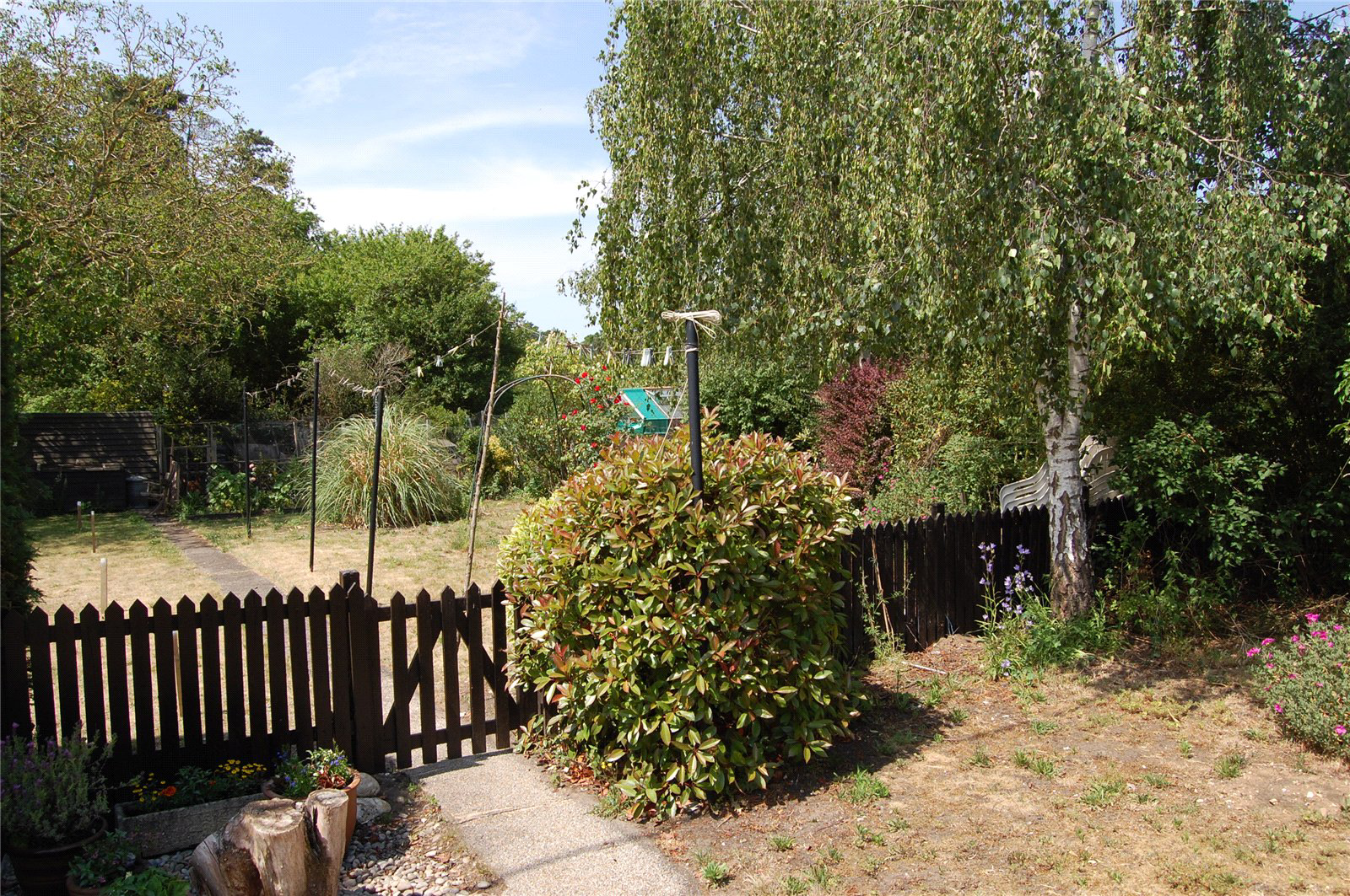 Photo 8