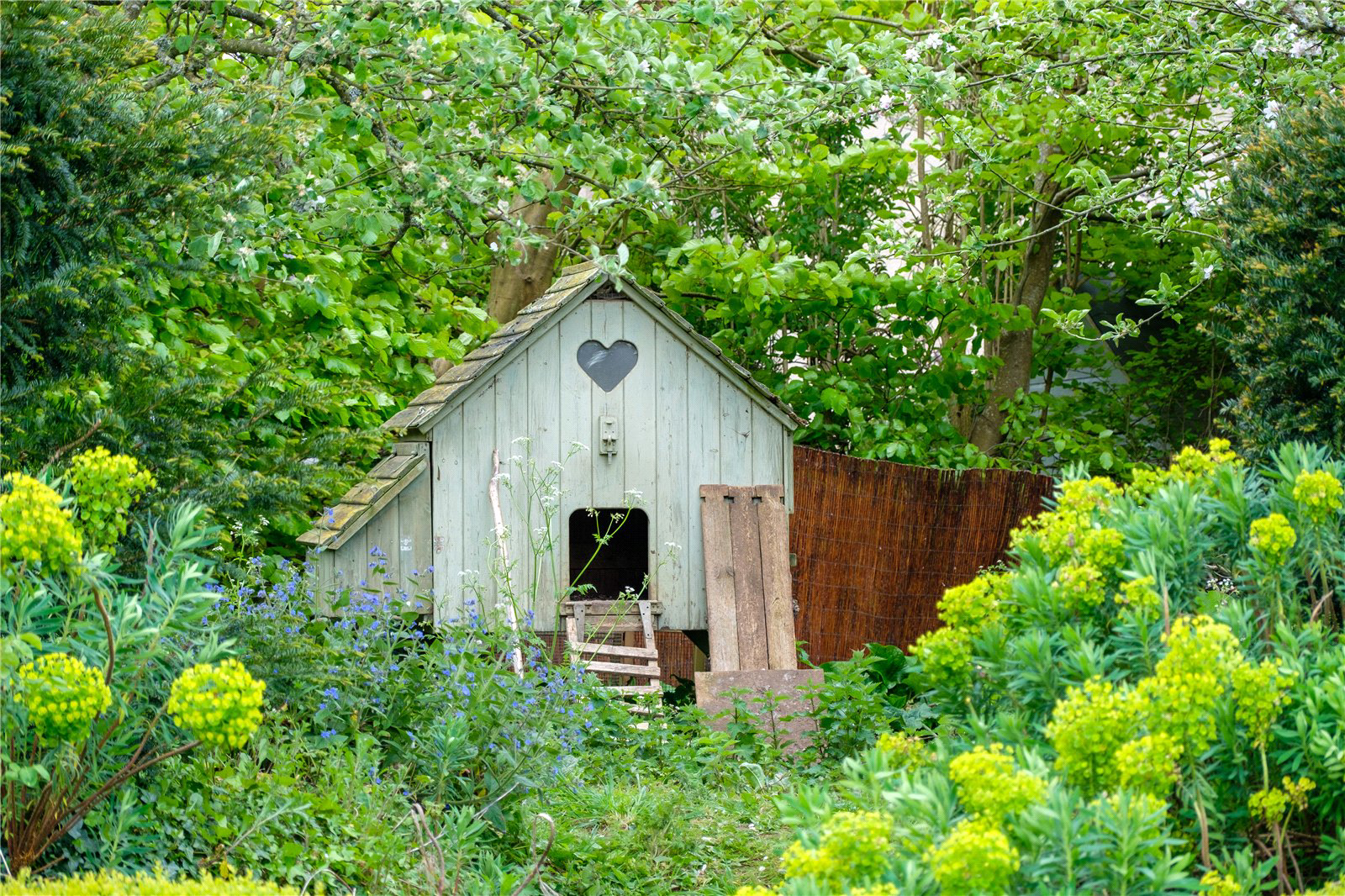 Powerstock, Bridport, Dorset, DT6, photo 57