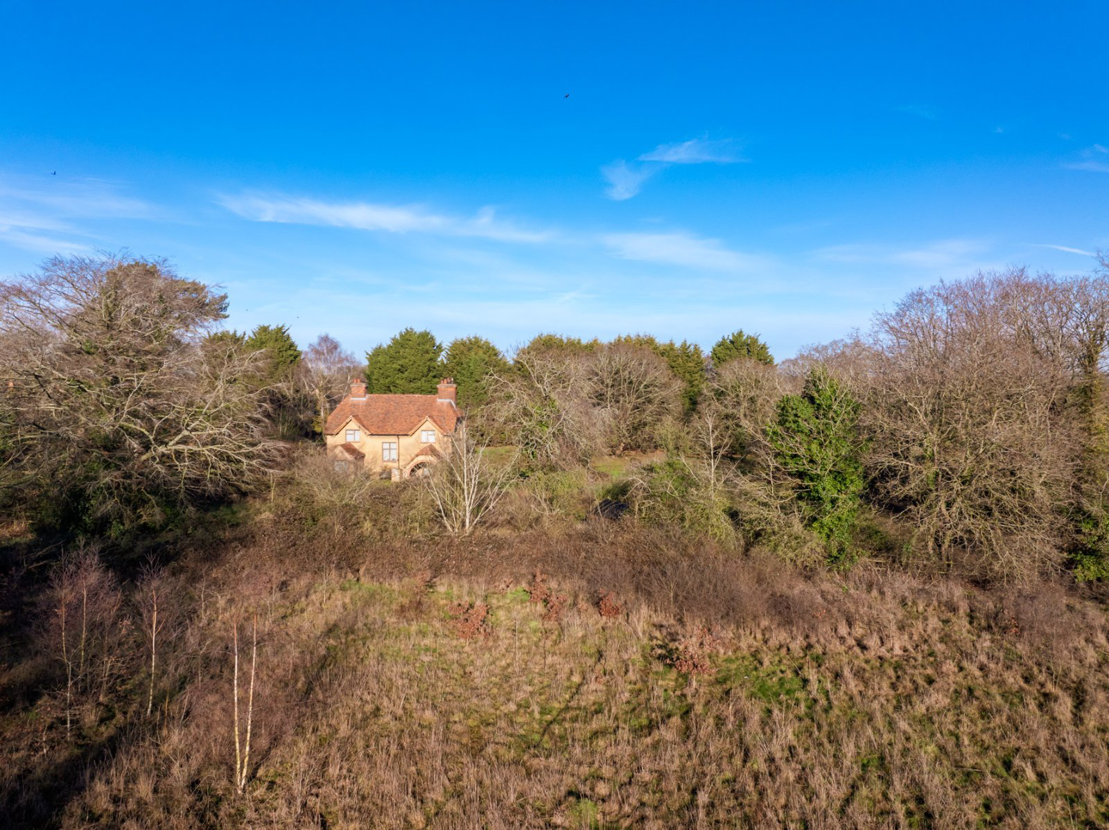 The Folley, Layer de La Haye, Colchester, Essex, CO2, photo 24