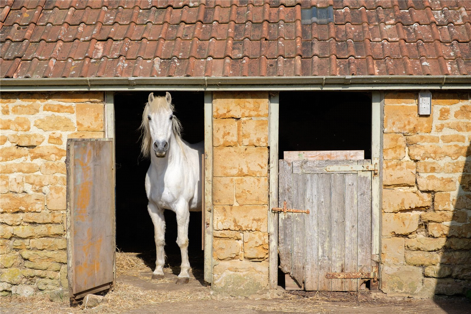 Powerstock, Bridport, Dorset, DT6, photo 52