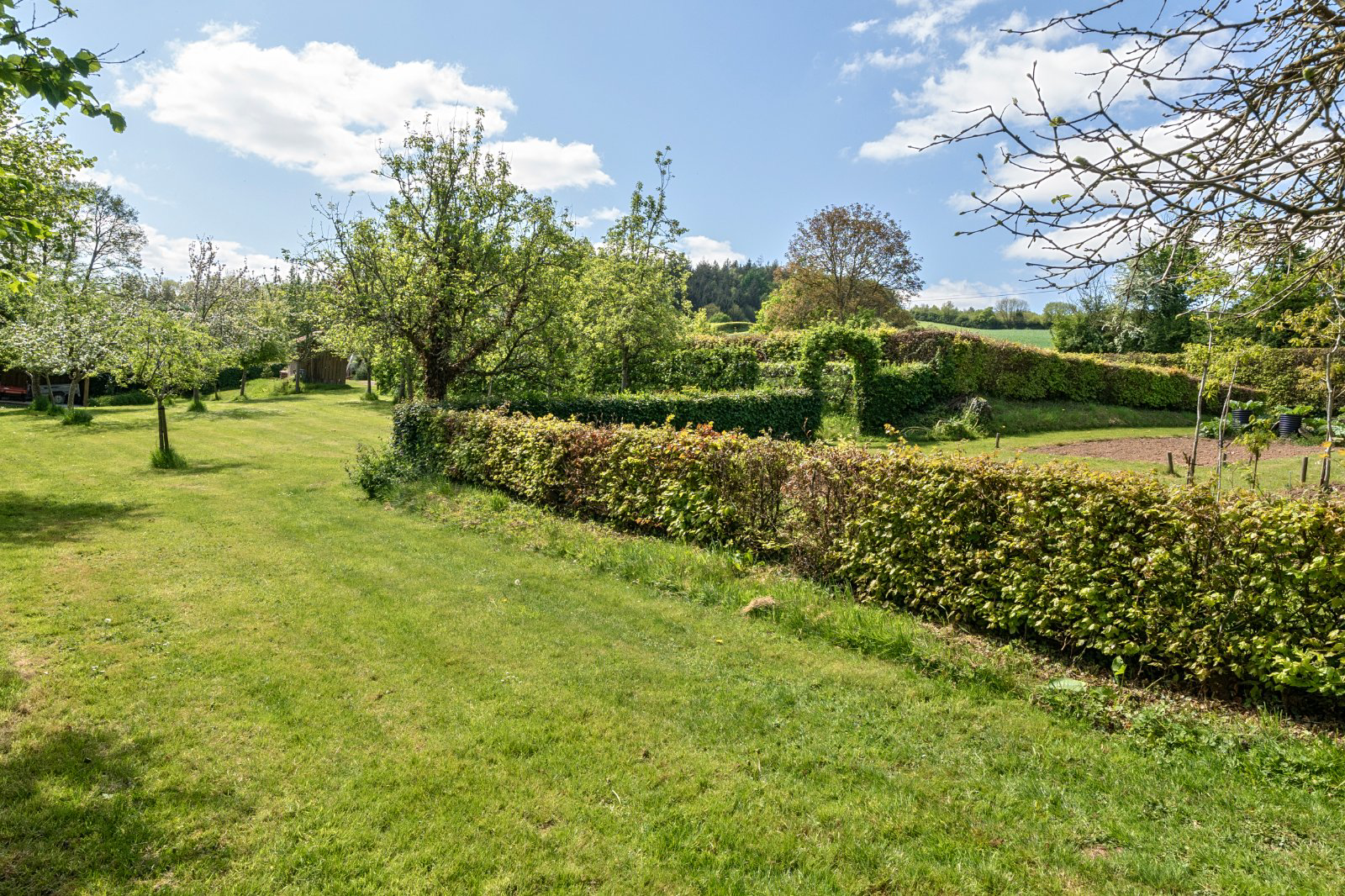 Crediton, Devon, EX17, photo 8